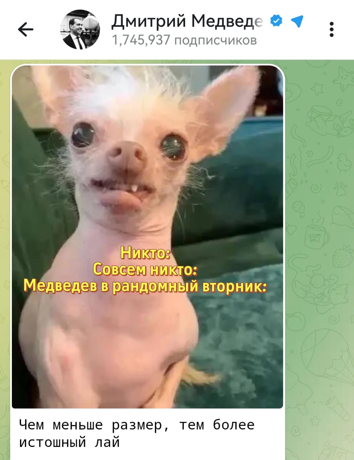@Голубь мира