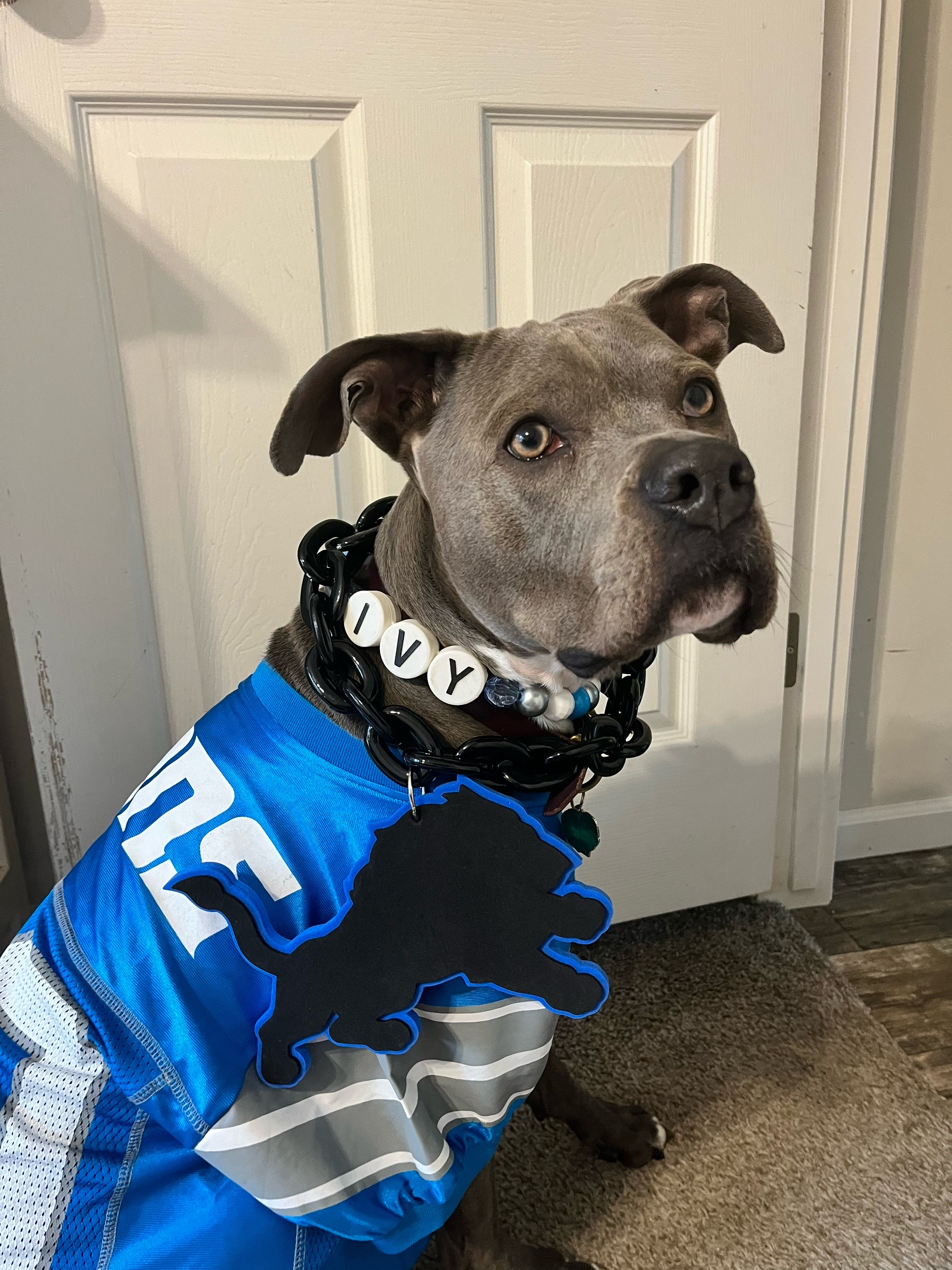 @Ivy the pitty