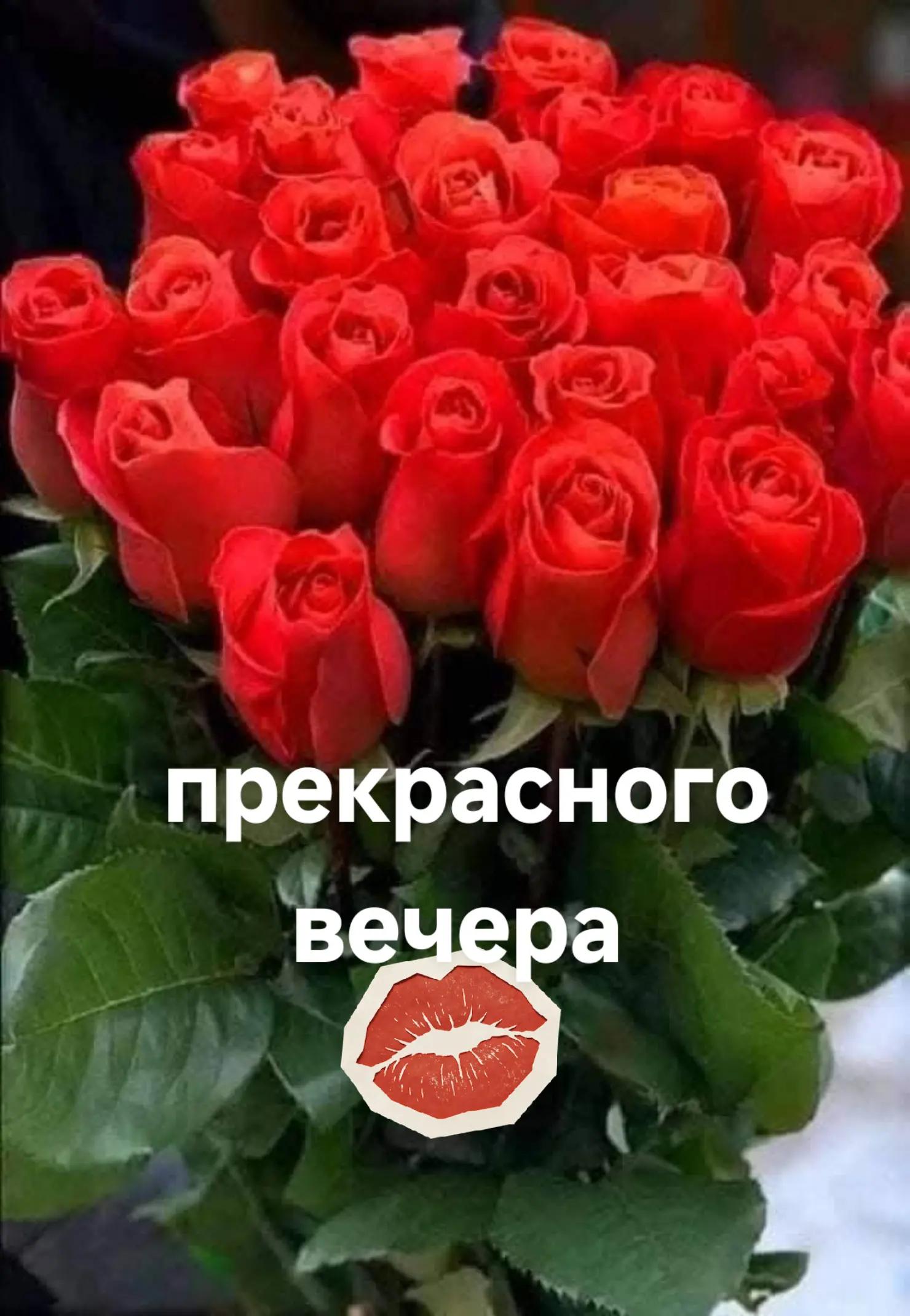 @Jelena Jermolajeva