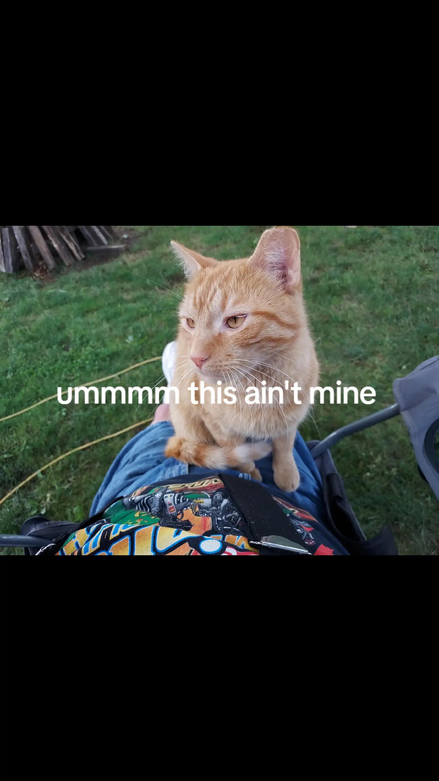 @barrybardo1