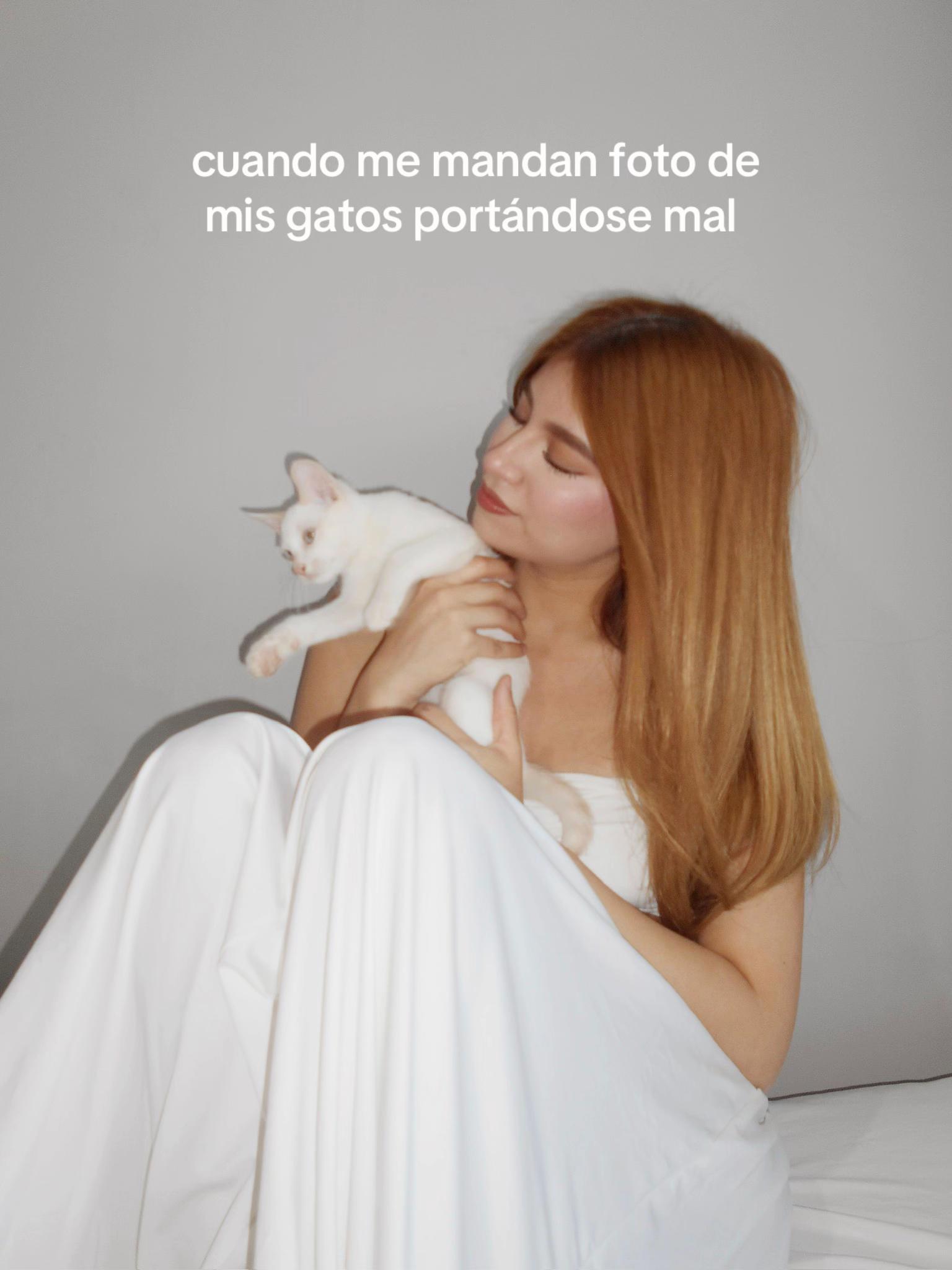 @Paulina Ley Cruz
