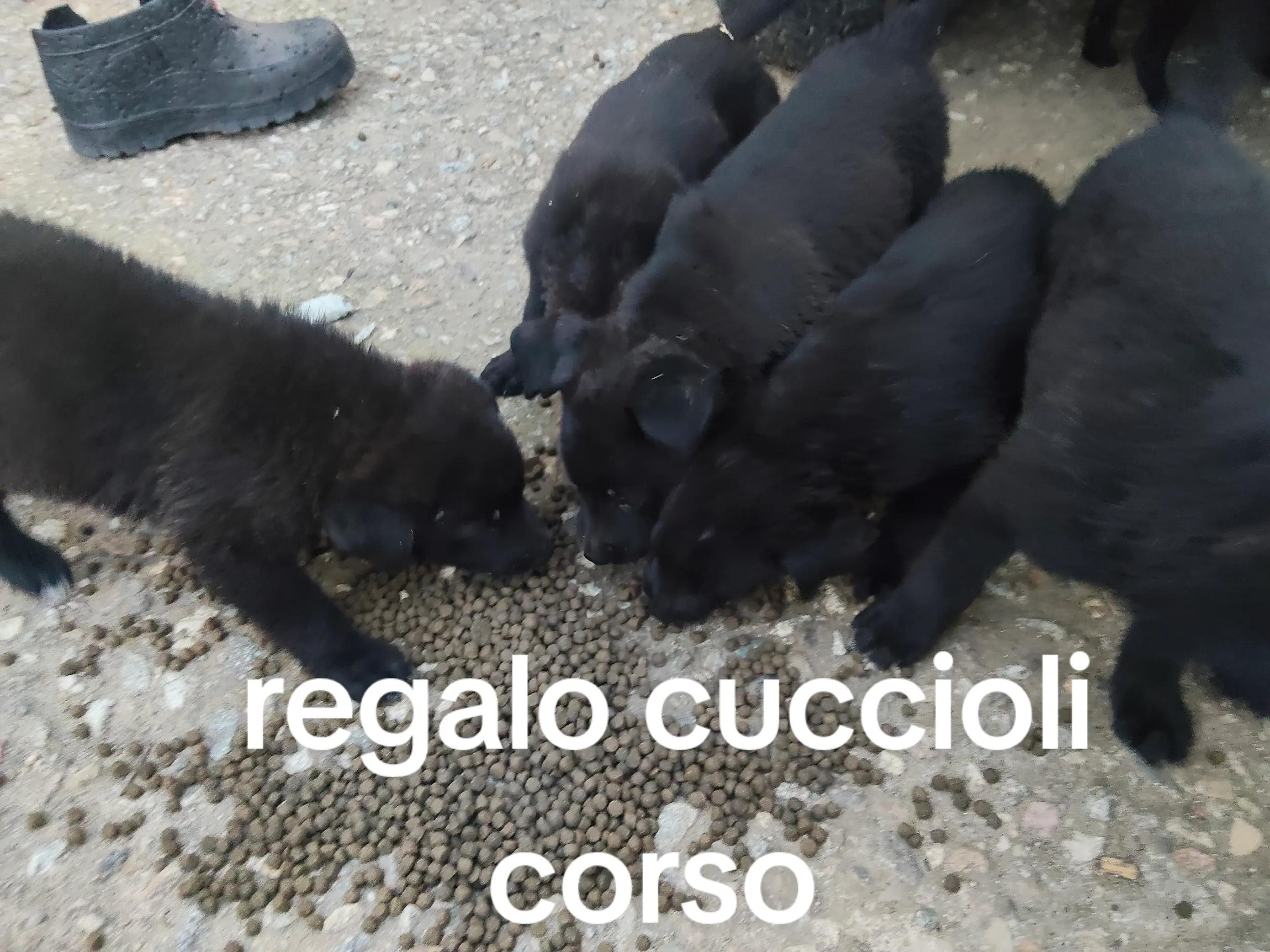 @abra...calabria