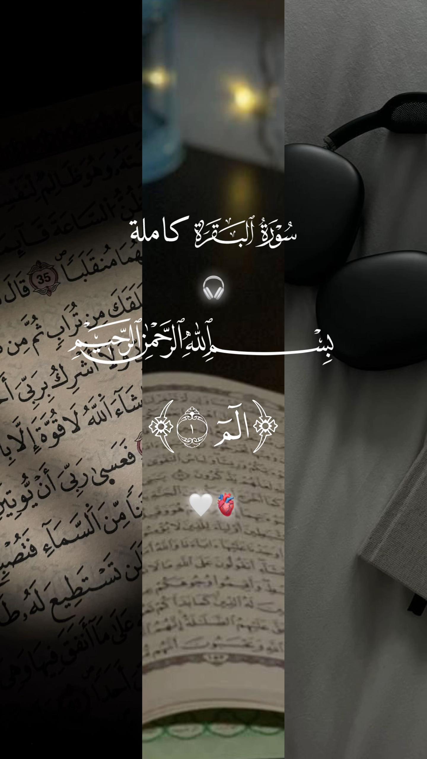 @📿اصيل المركعي📚