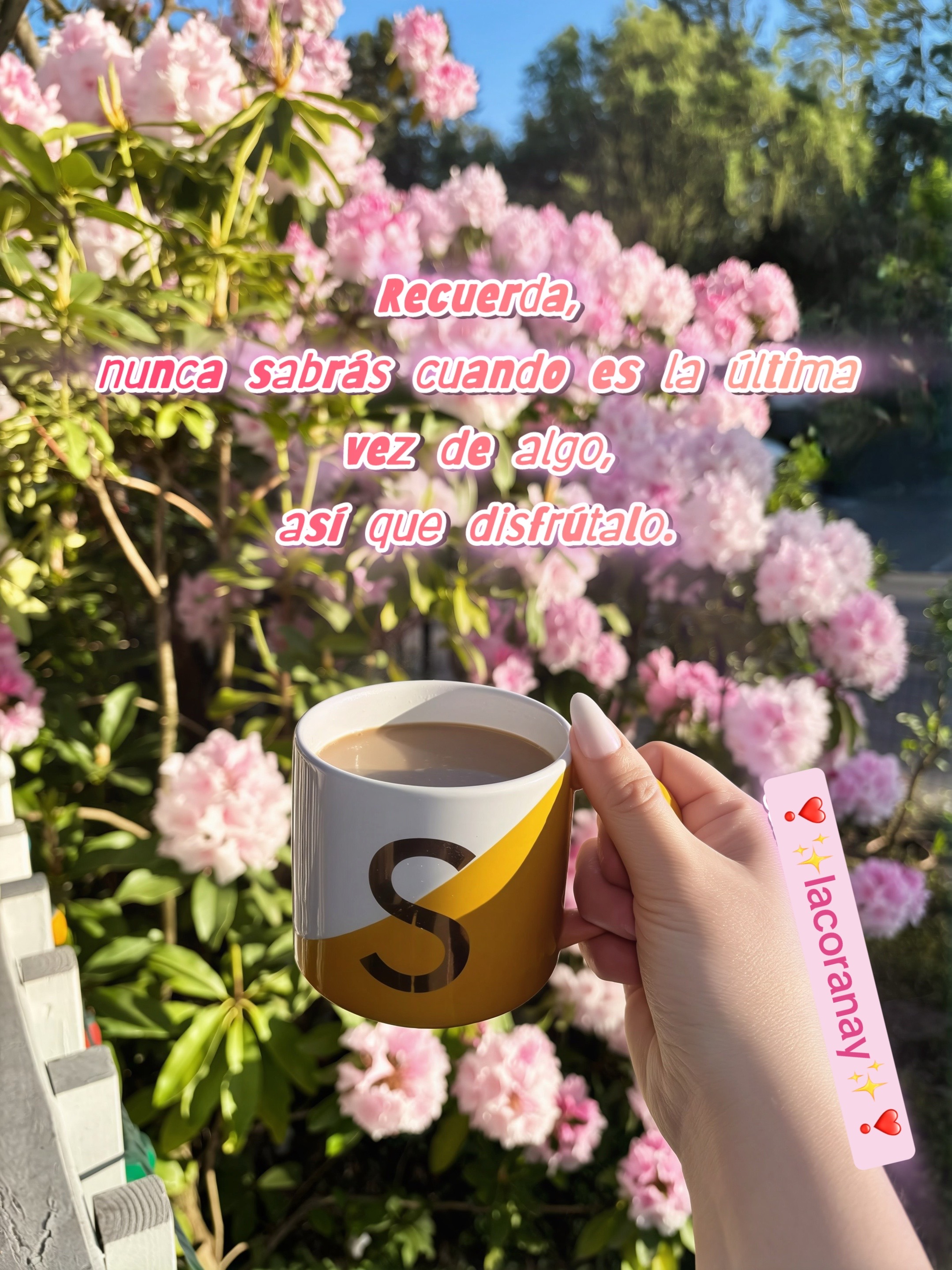 @✨❣️𝓛𝓪 𝓬𝓸𝓻𝓪 𝓷𝓪𝔂❣️✨