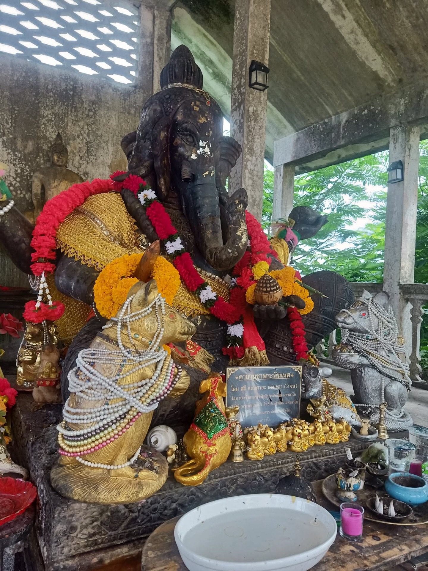 @Sapnaka888
