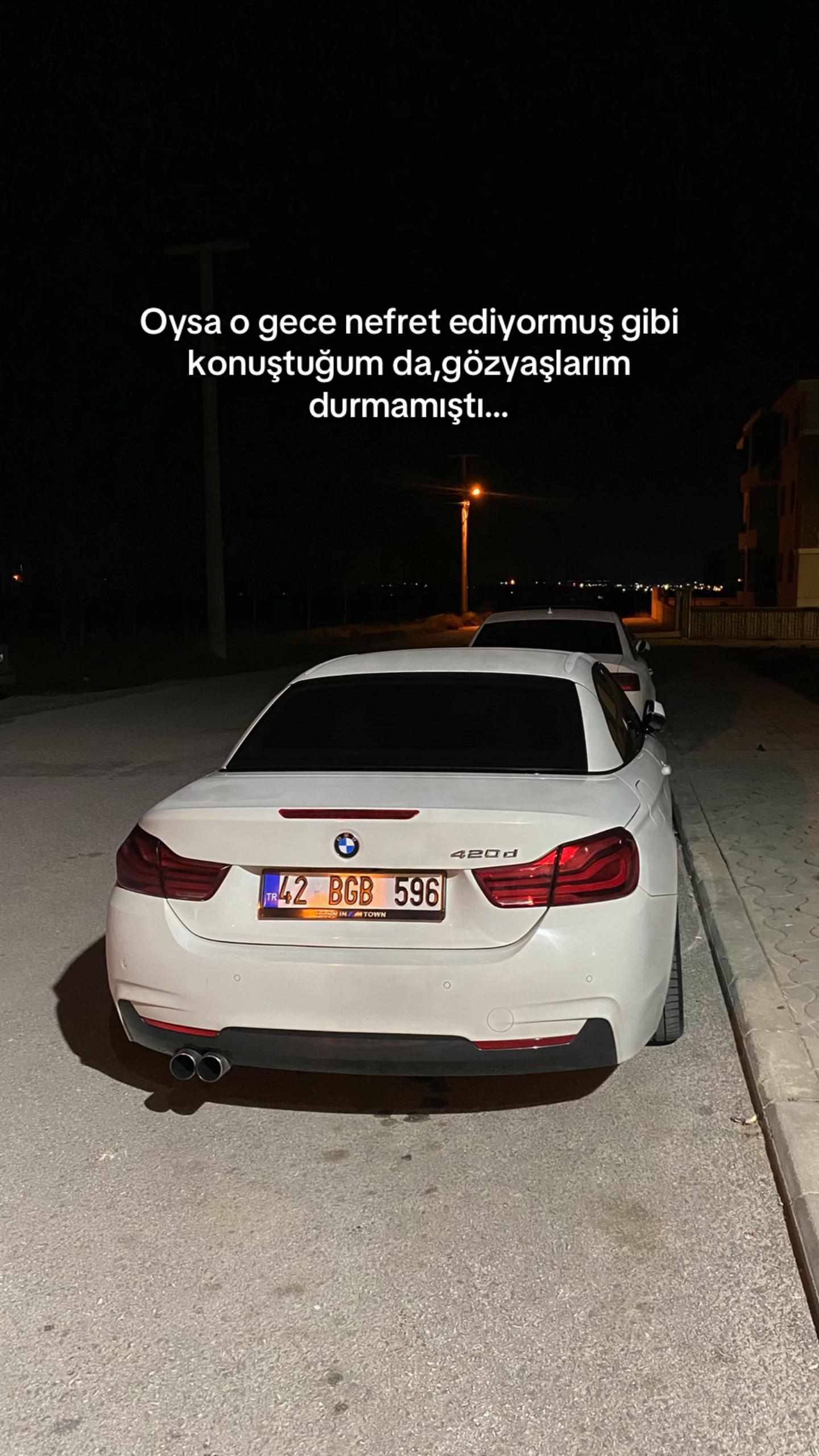 @fatmanurglowski342