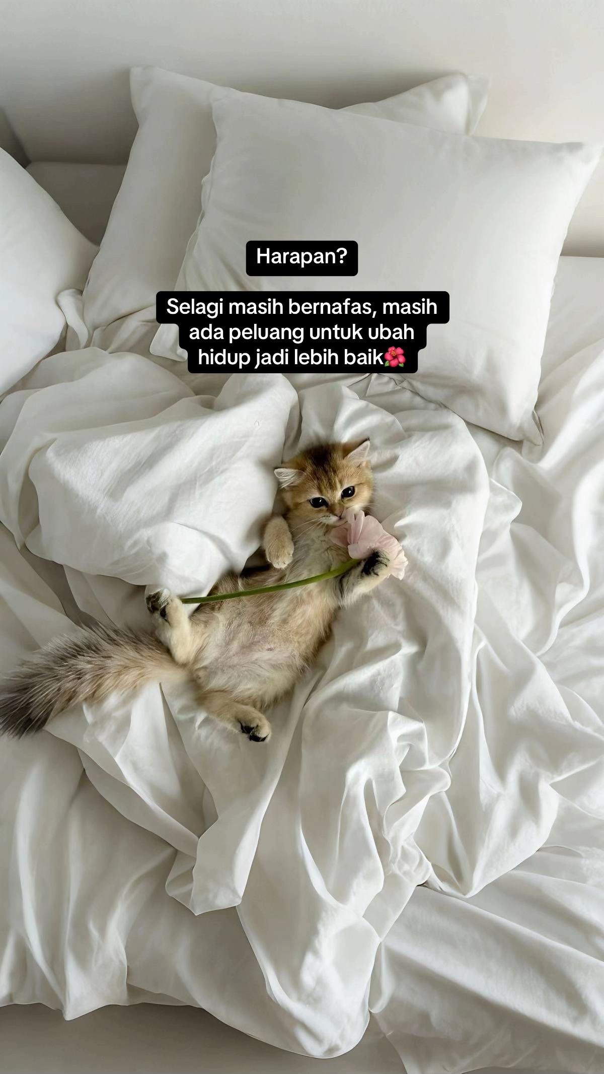 @Izzatyy_