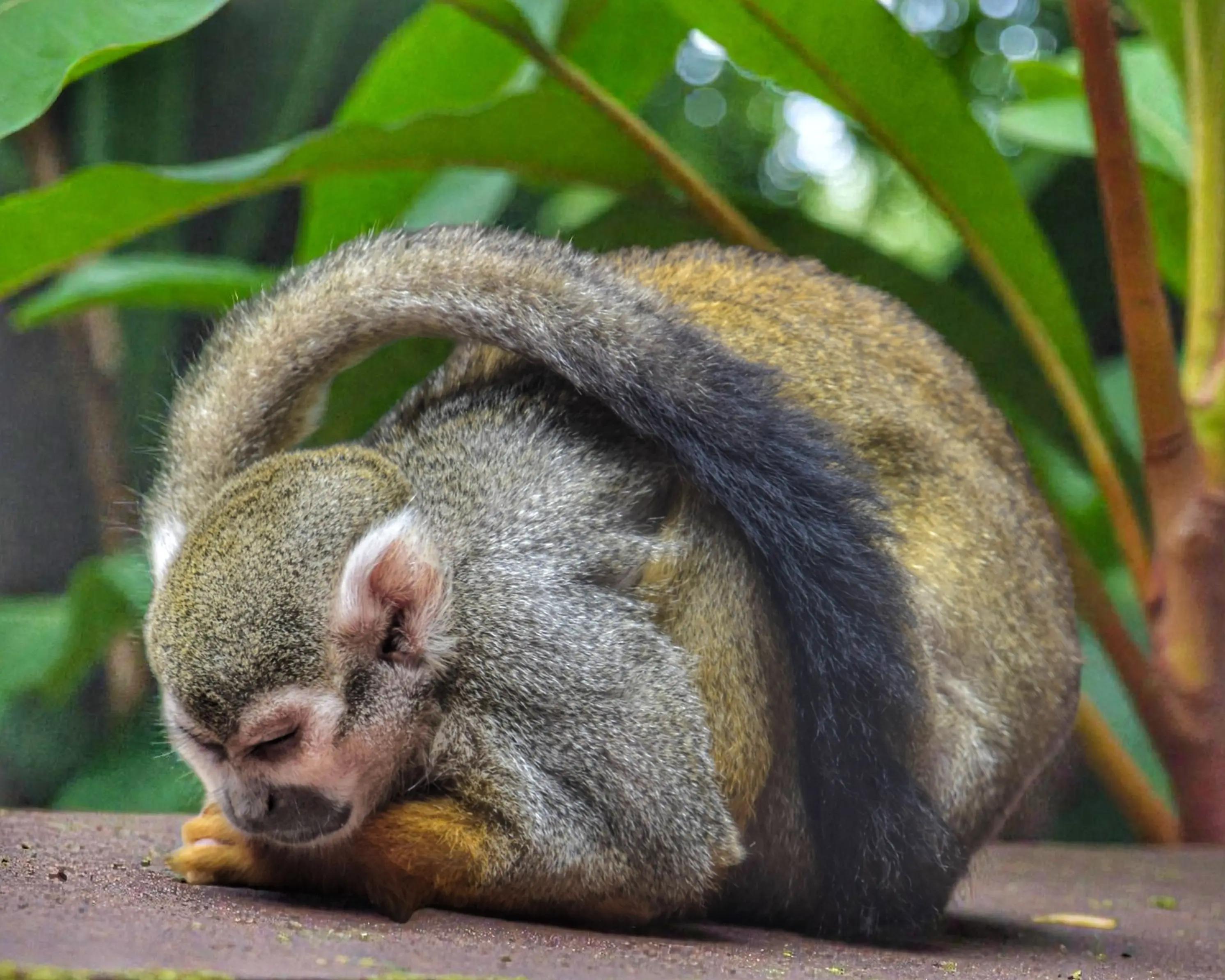 @havr-photo.picfair.com
