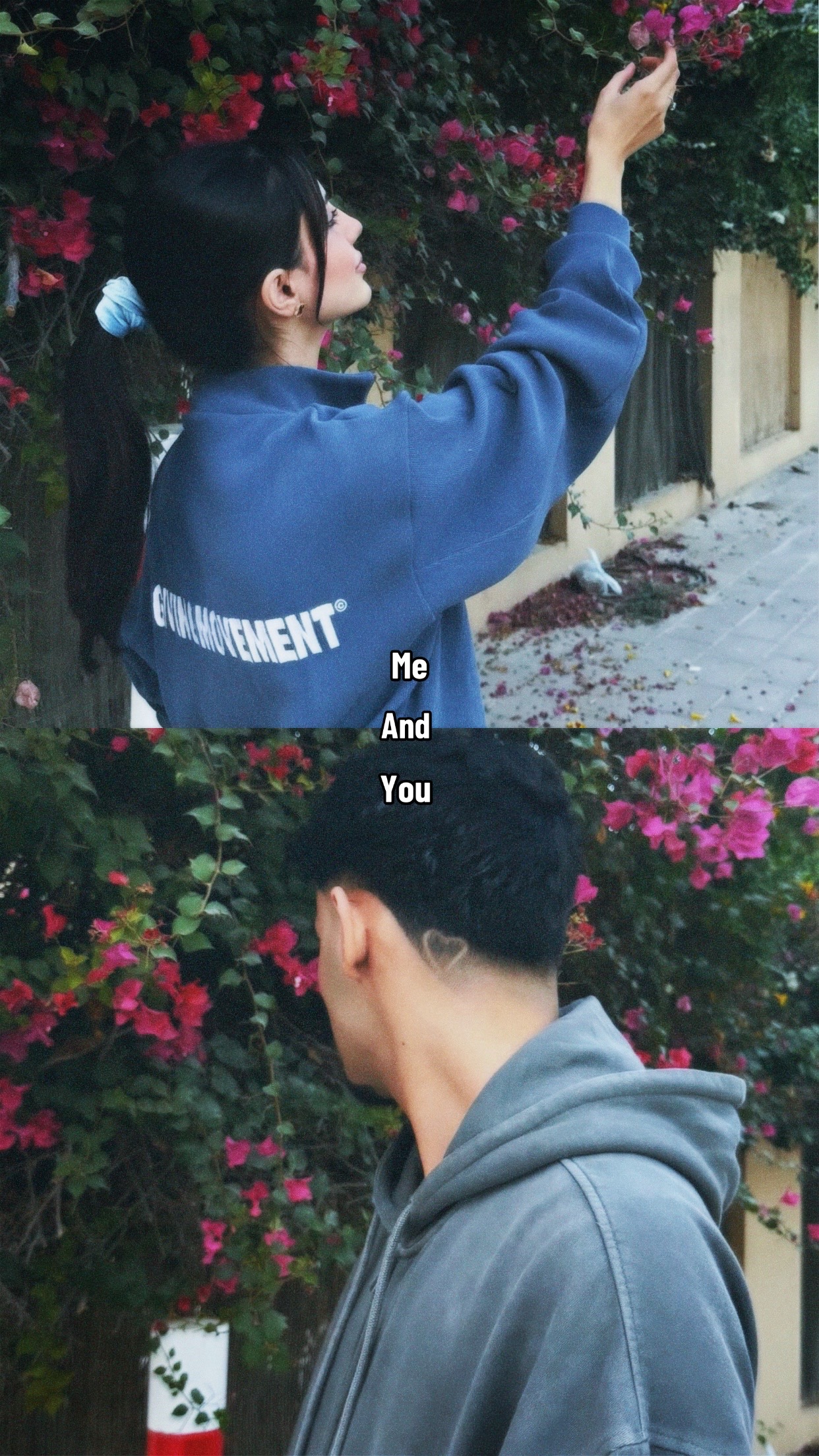 @SAFA