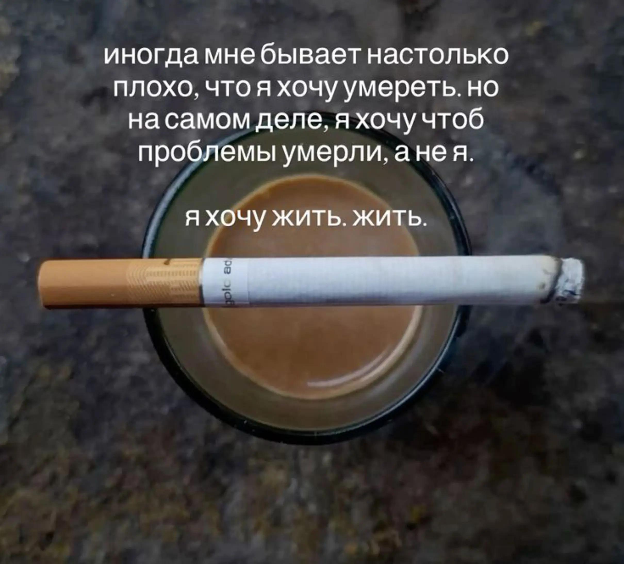 @пока