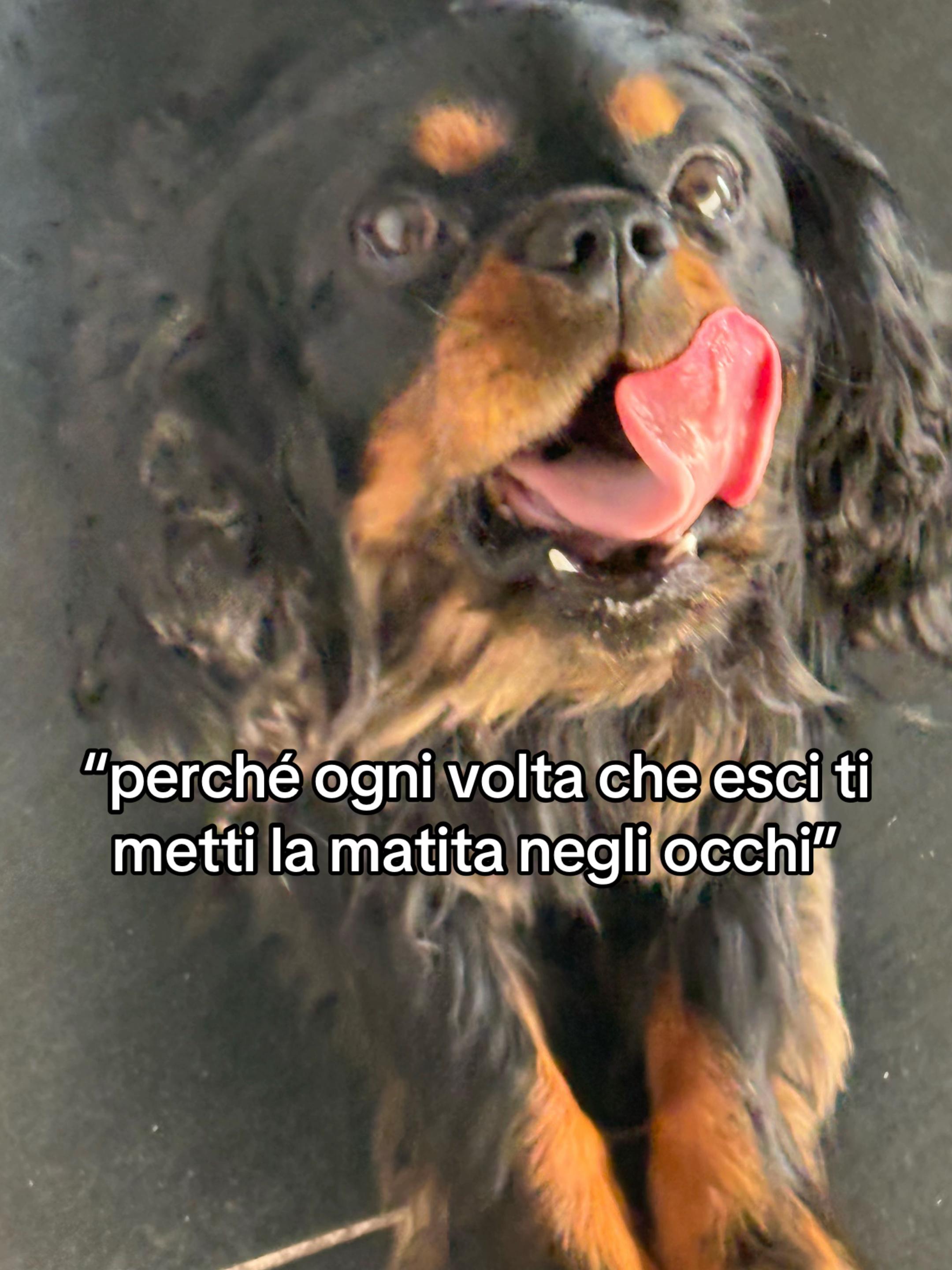 @✨ginevra✨