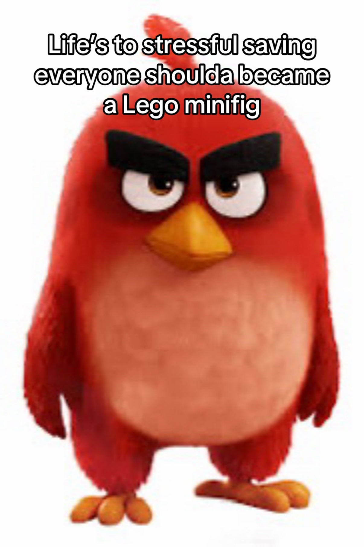 @AngryBirdsMemes