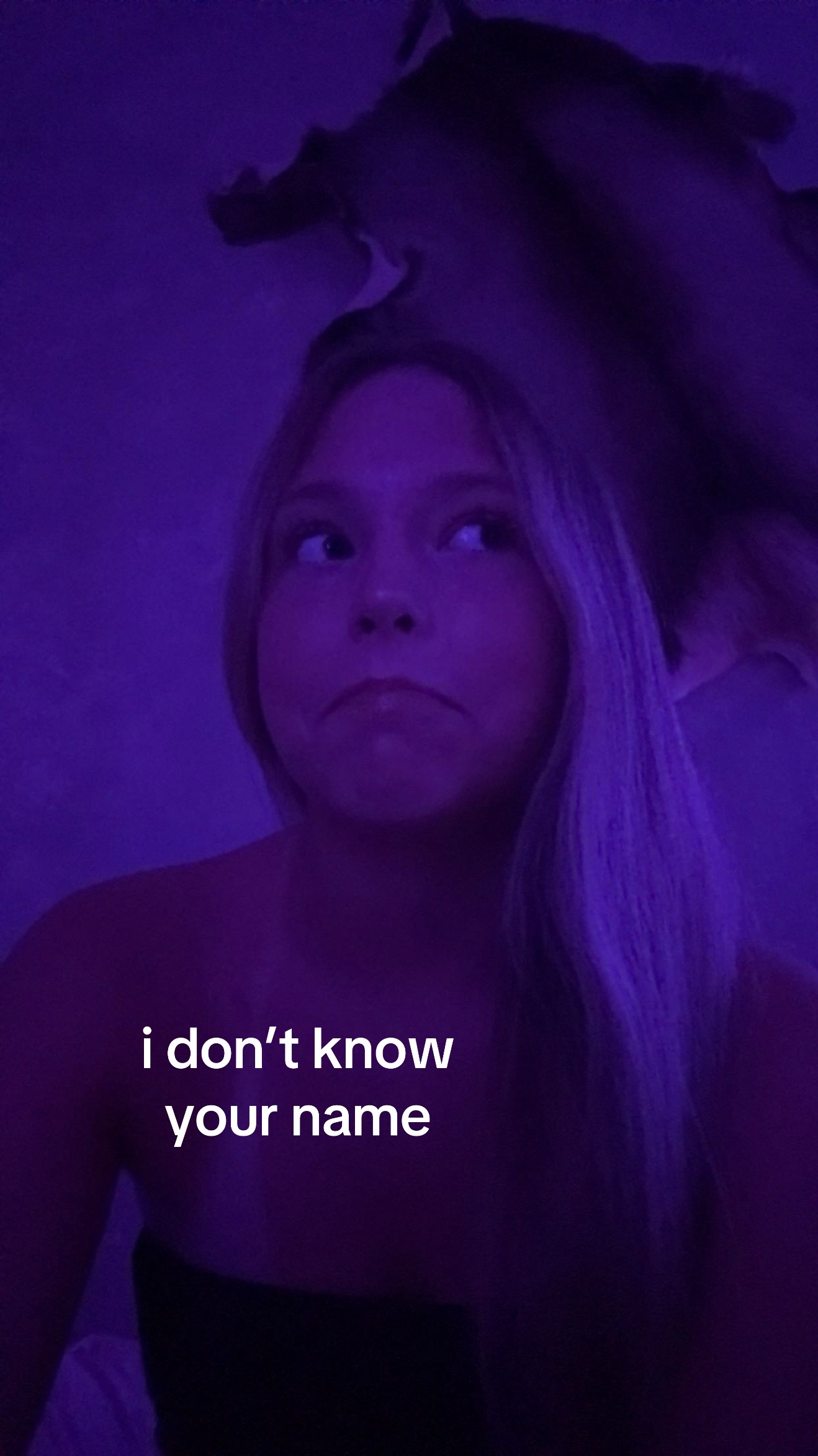 @️ ｐａｉｓｌｅｙ