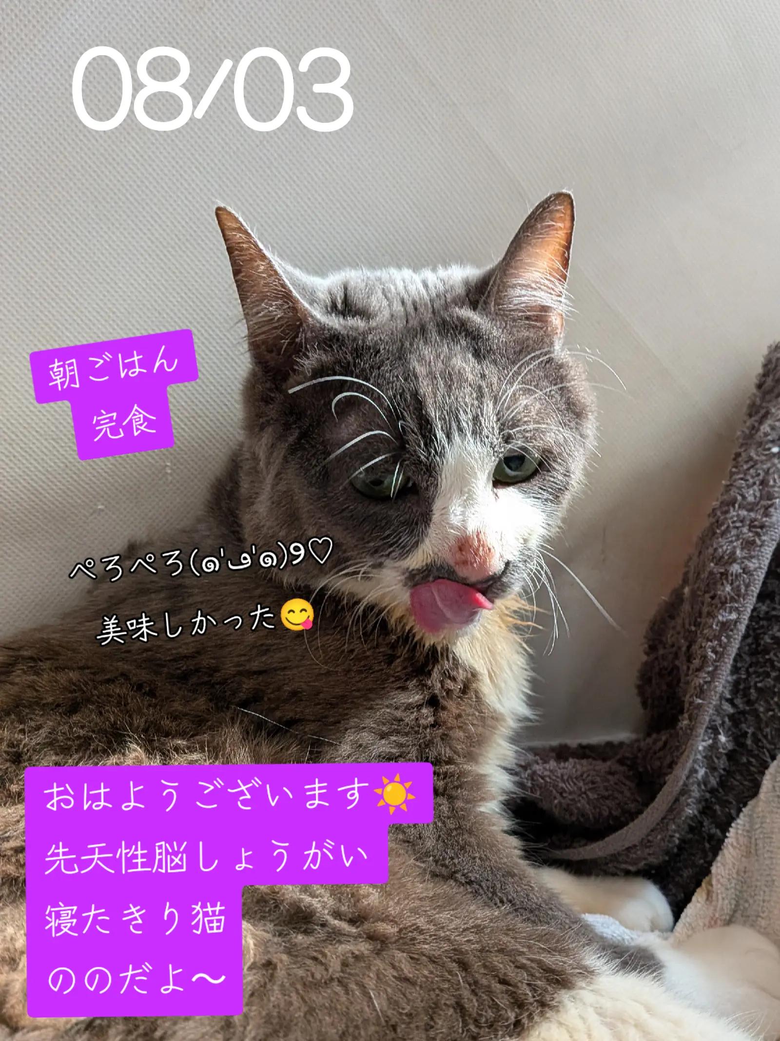 @てんきな