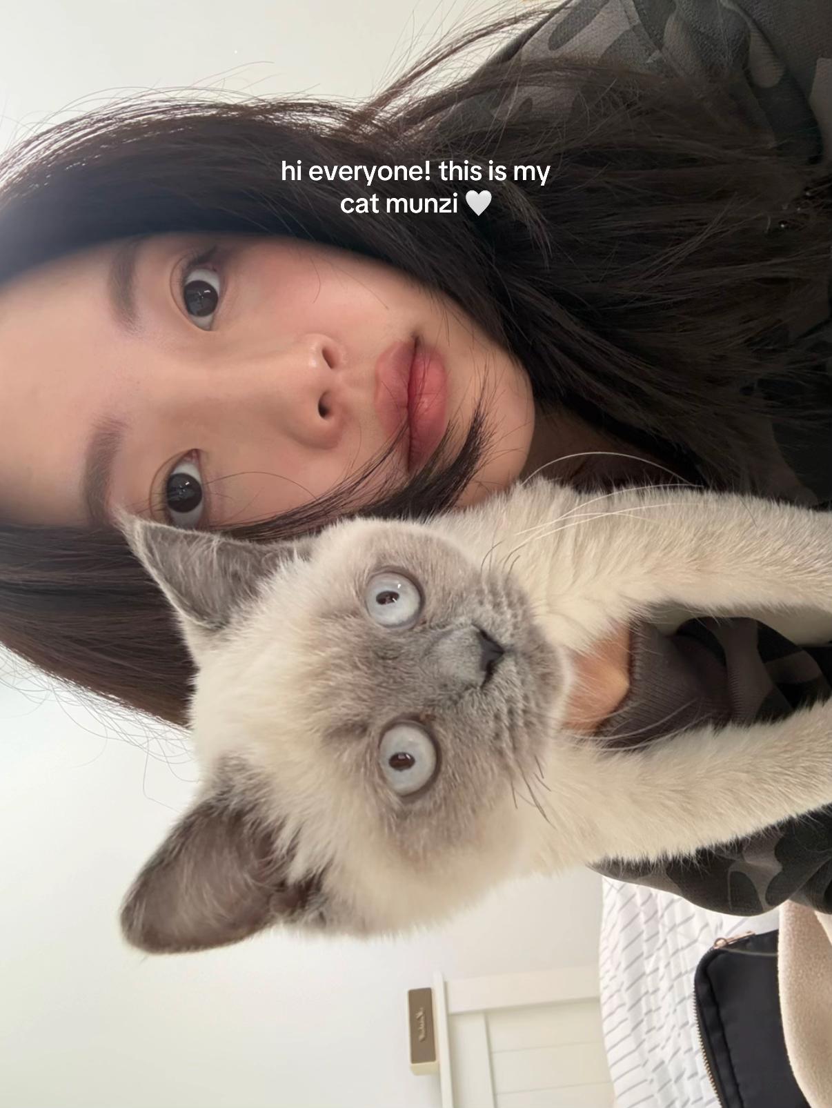 @soggogi