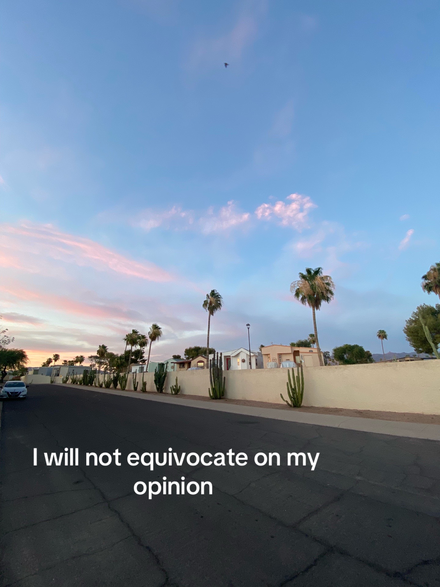 @Sophiee