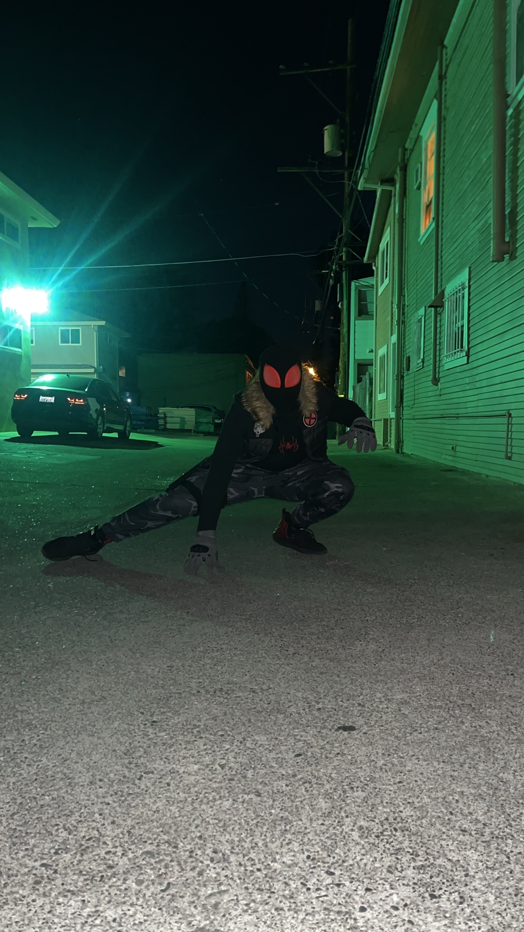 @Wolf-Spider