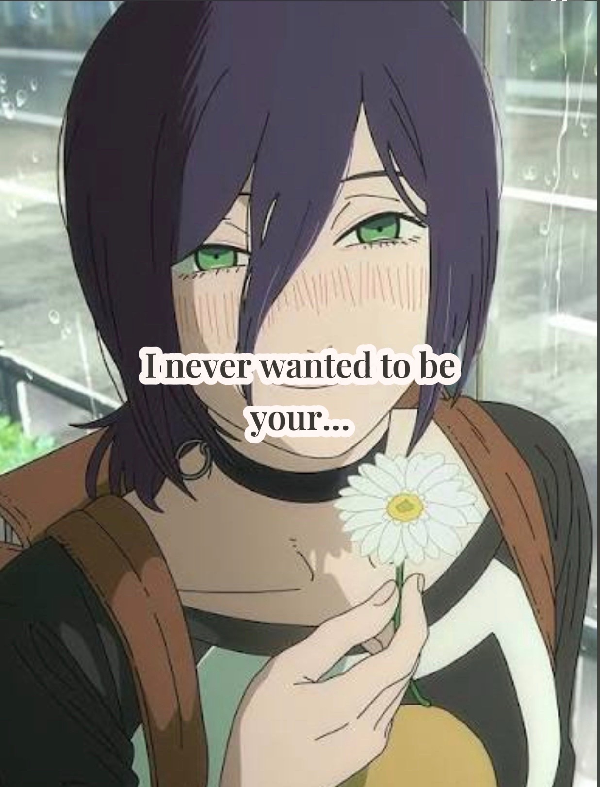 @Cat
