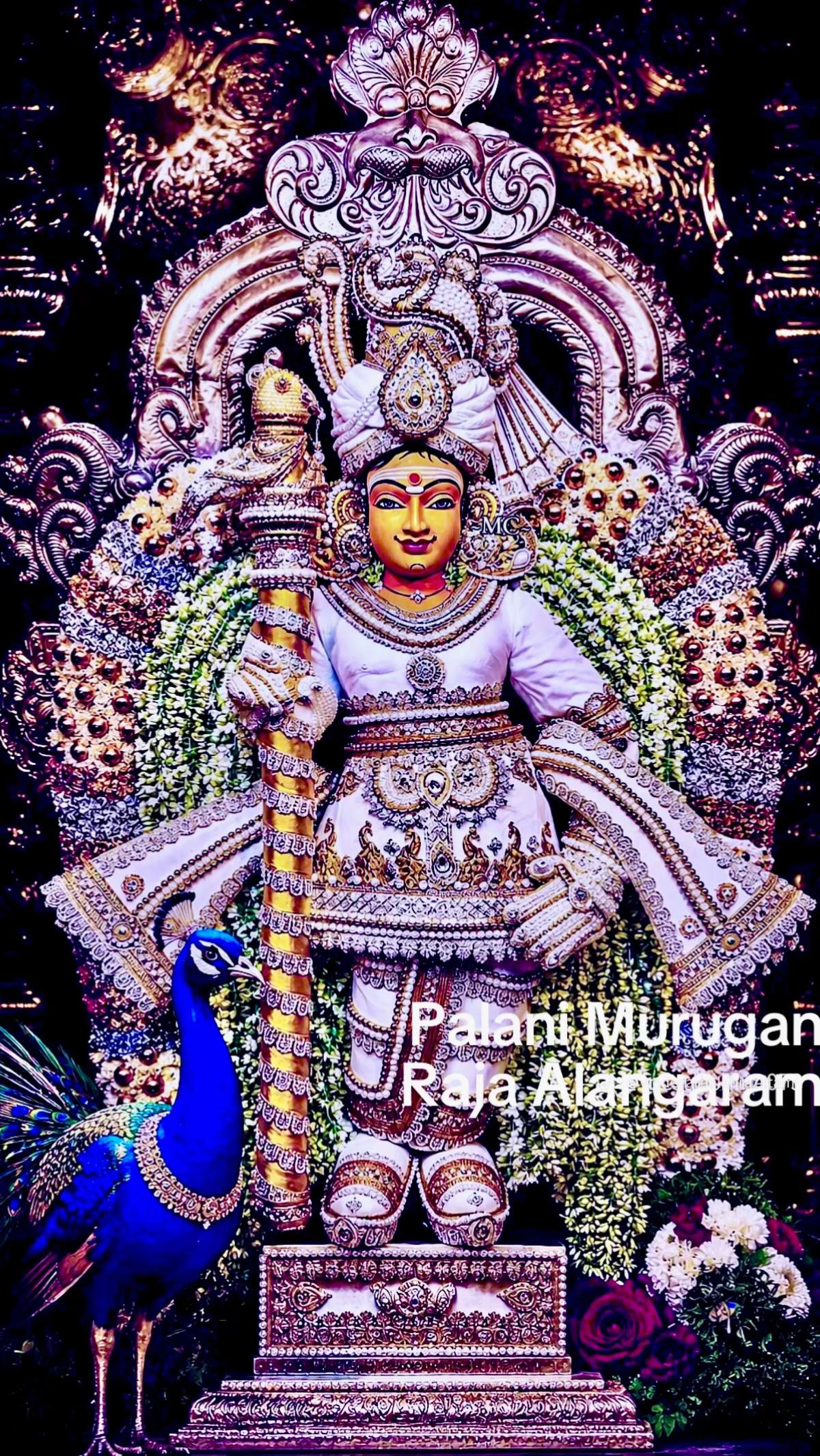 @பிரேசில் விவசாயி குடும்பம்