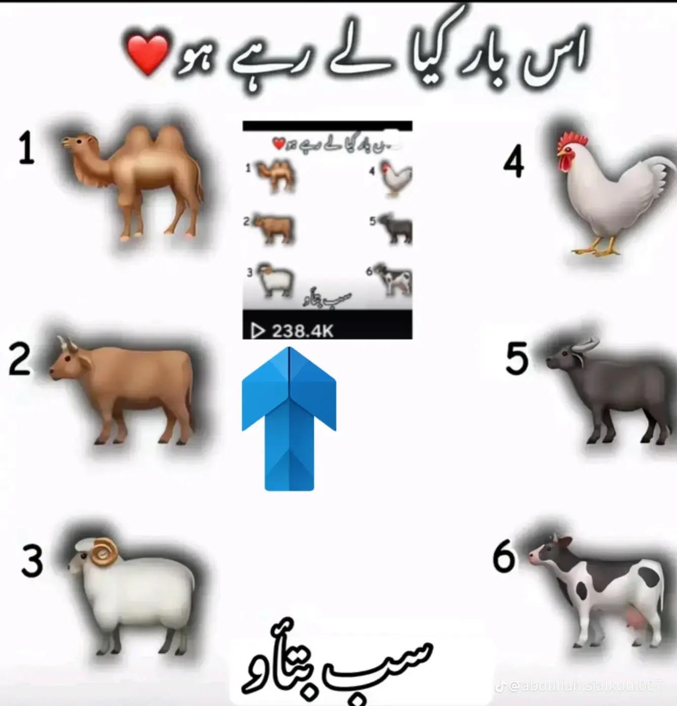 @Muhammad Raheem570