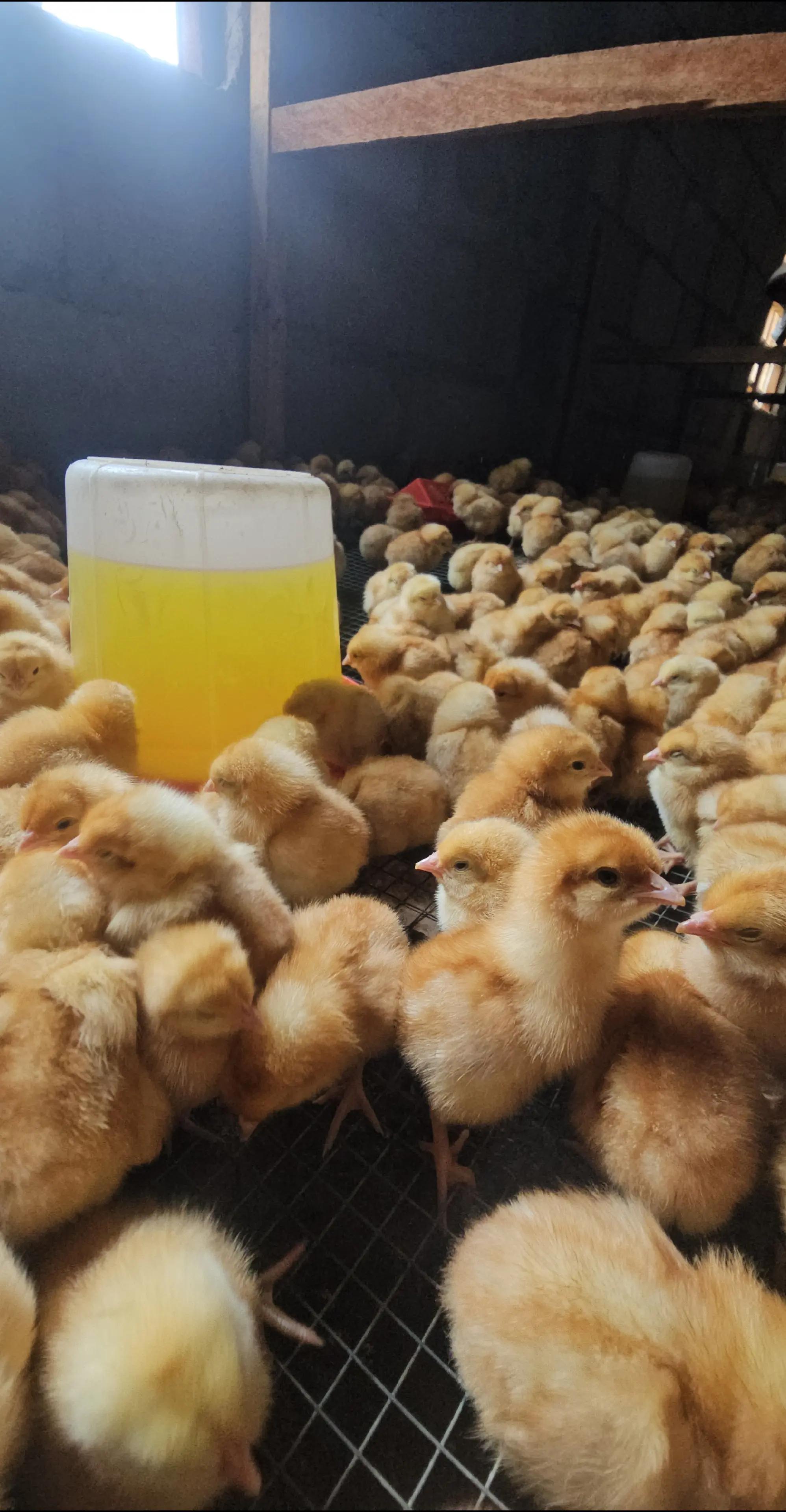 @thetri farms
