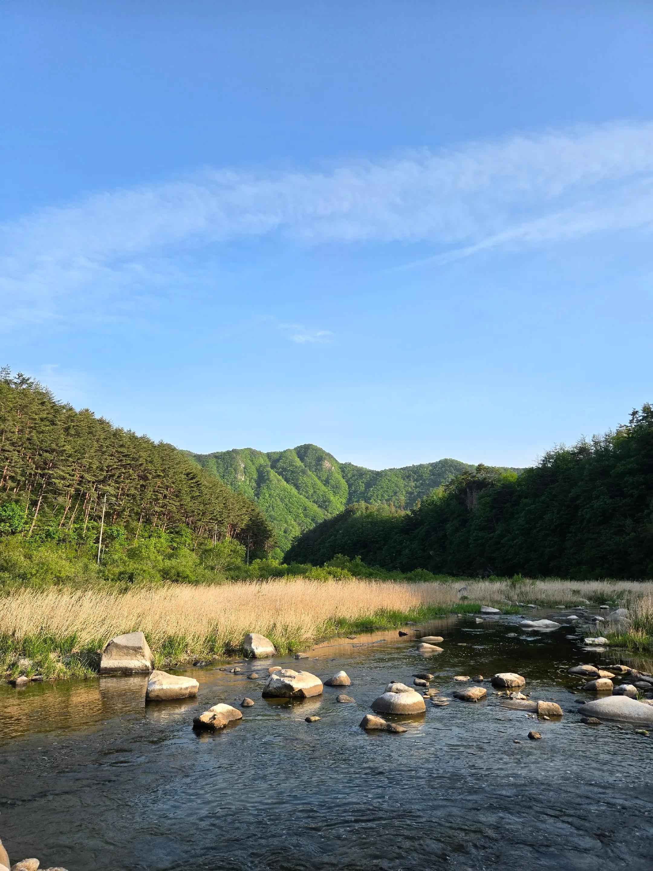 @캔디(동강여신)