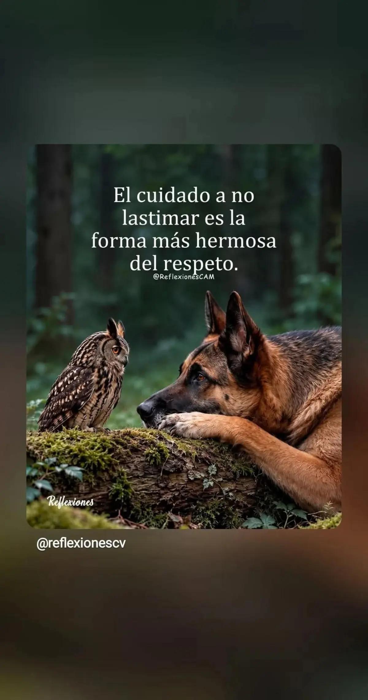 @Baltazar hernandes