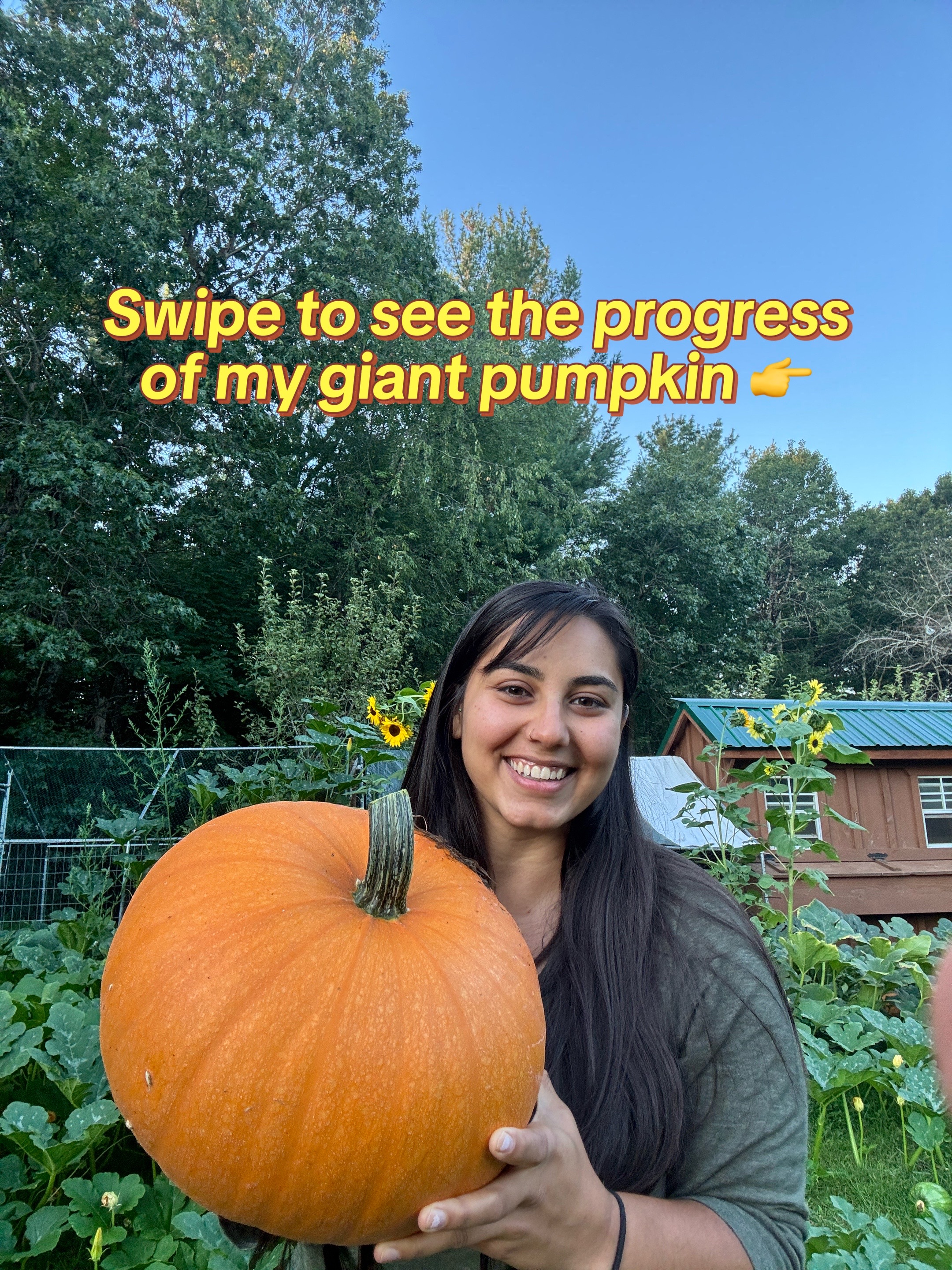 @Manica | zone 6a gardener