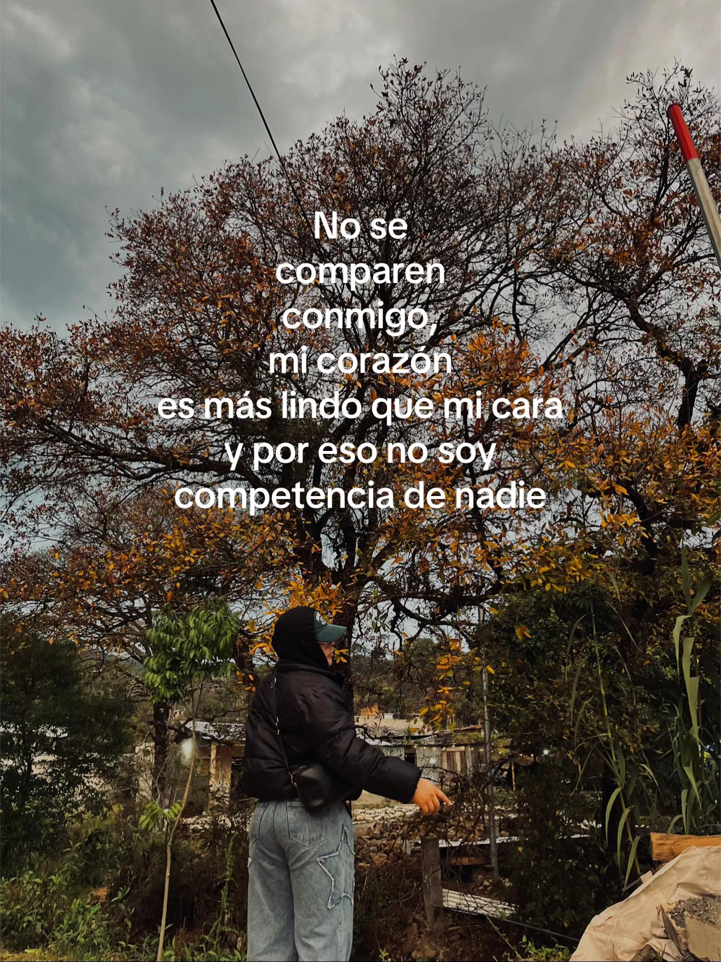 @Joseestuardo