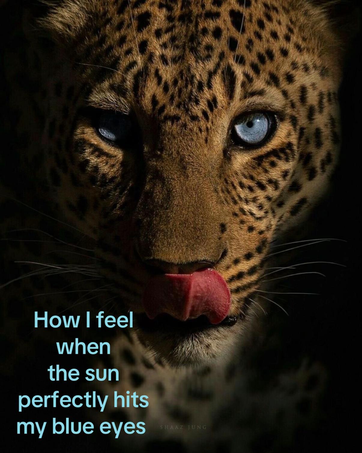 @𝒮.