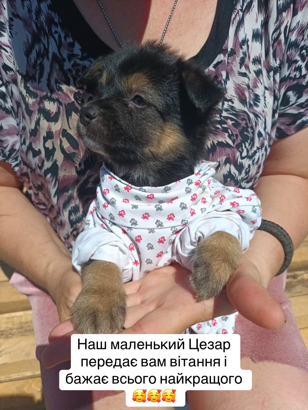 @ukolovanastyusha7777