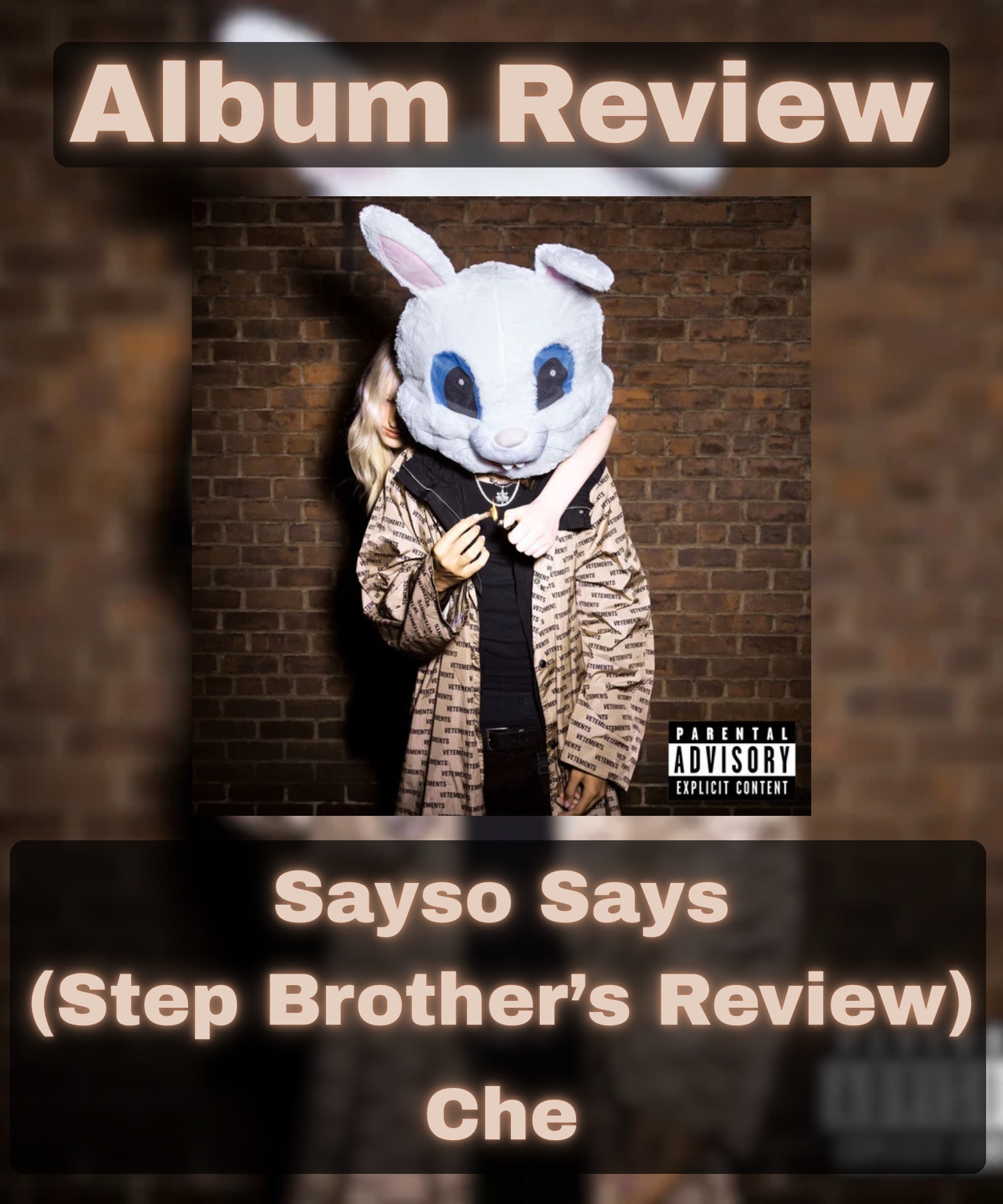 @gingermusicreviewer