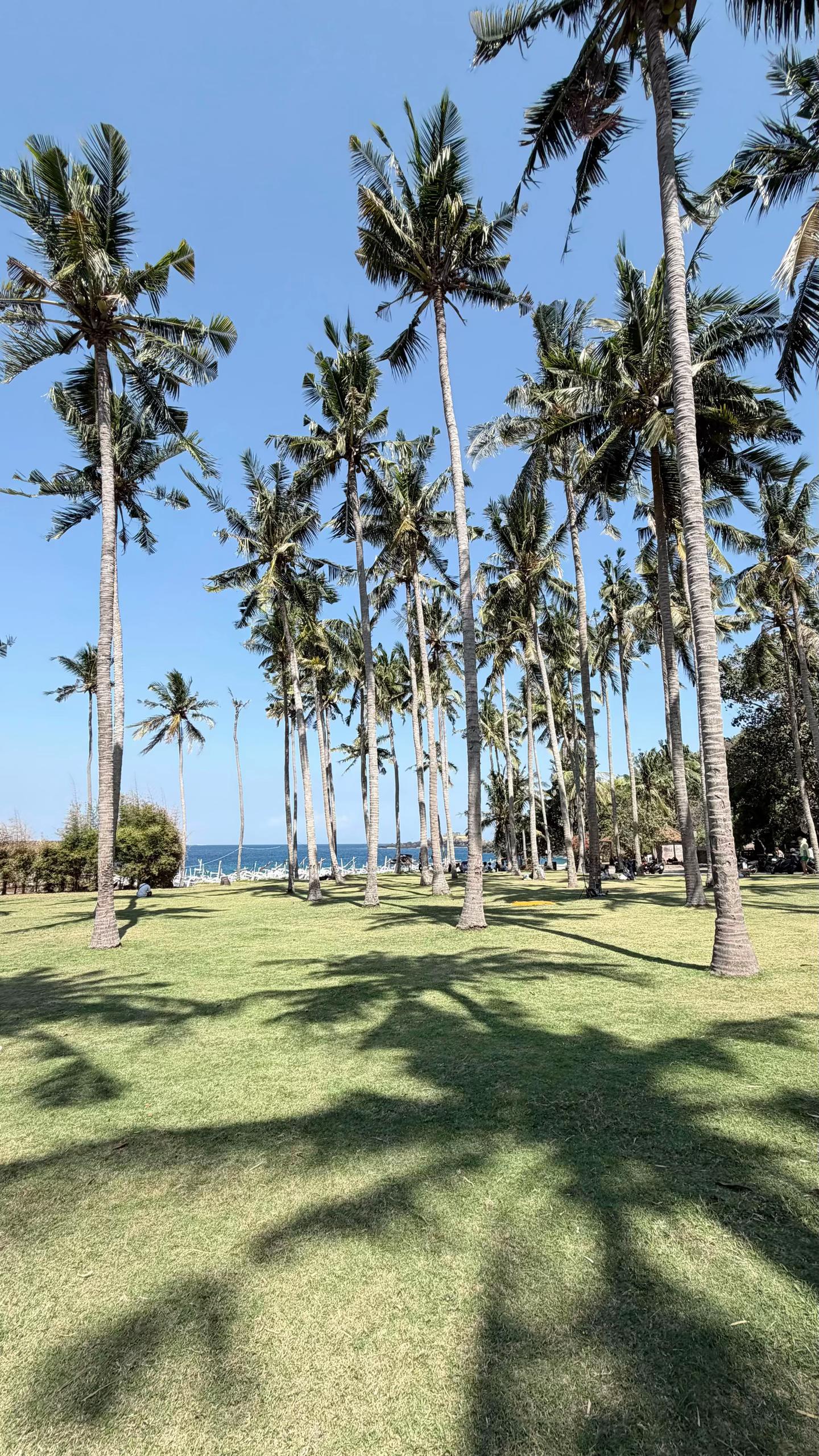 @sri rahmaa