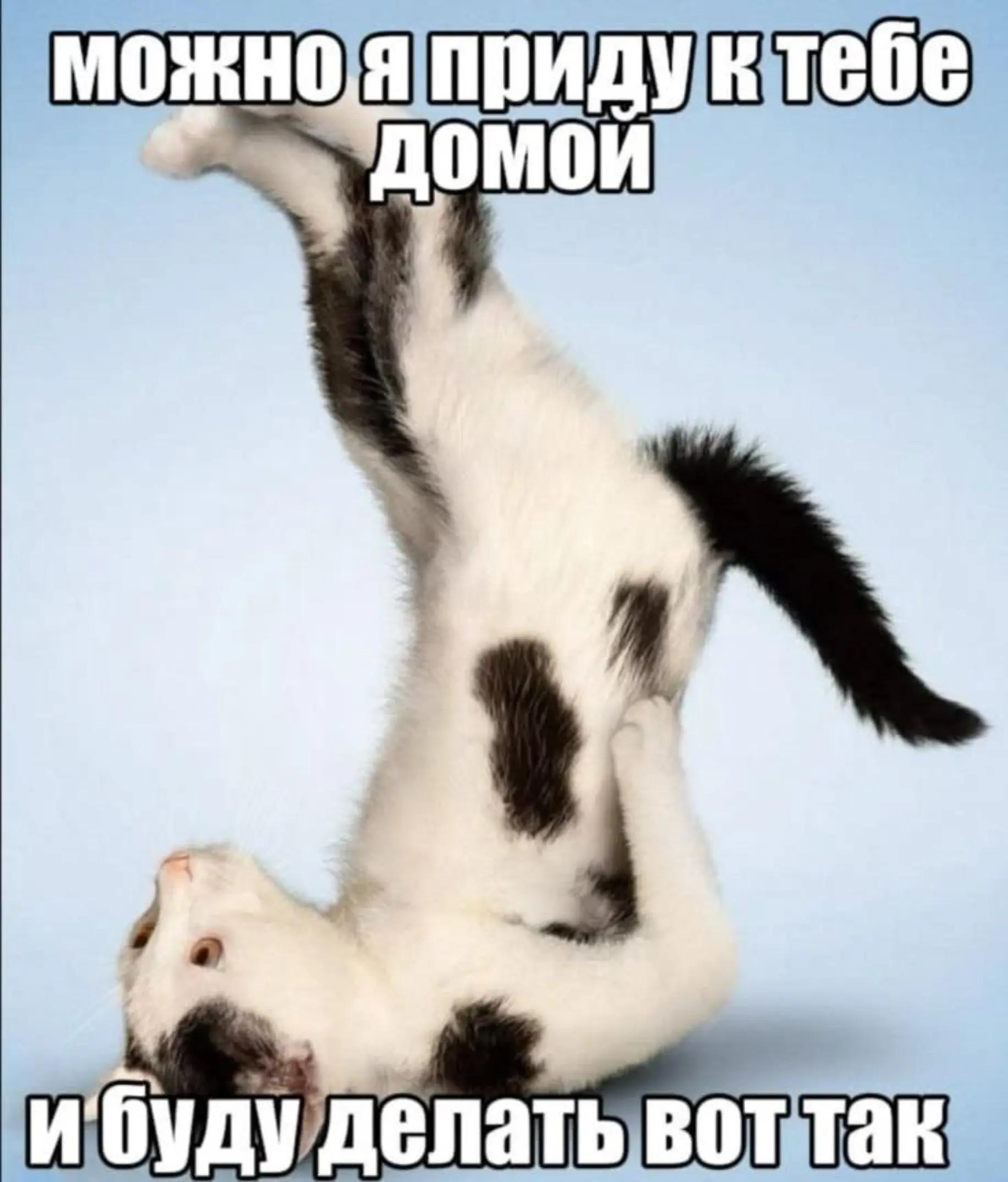 @gothbat67@