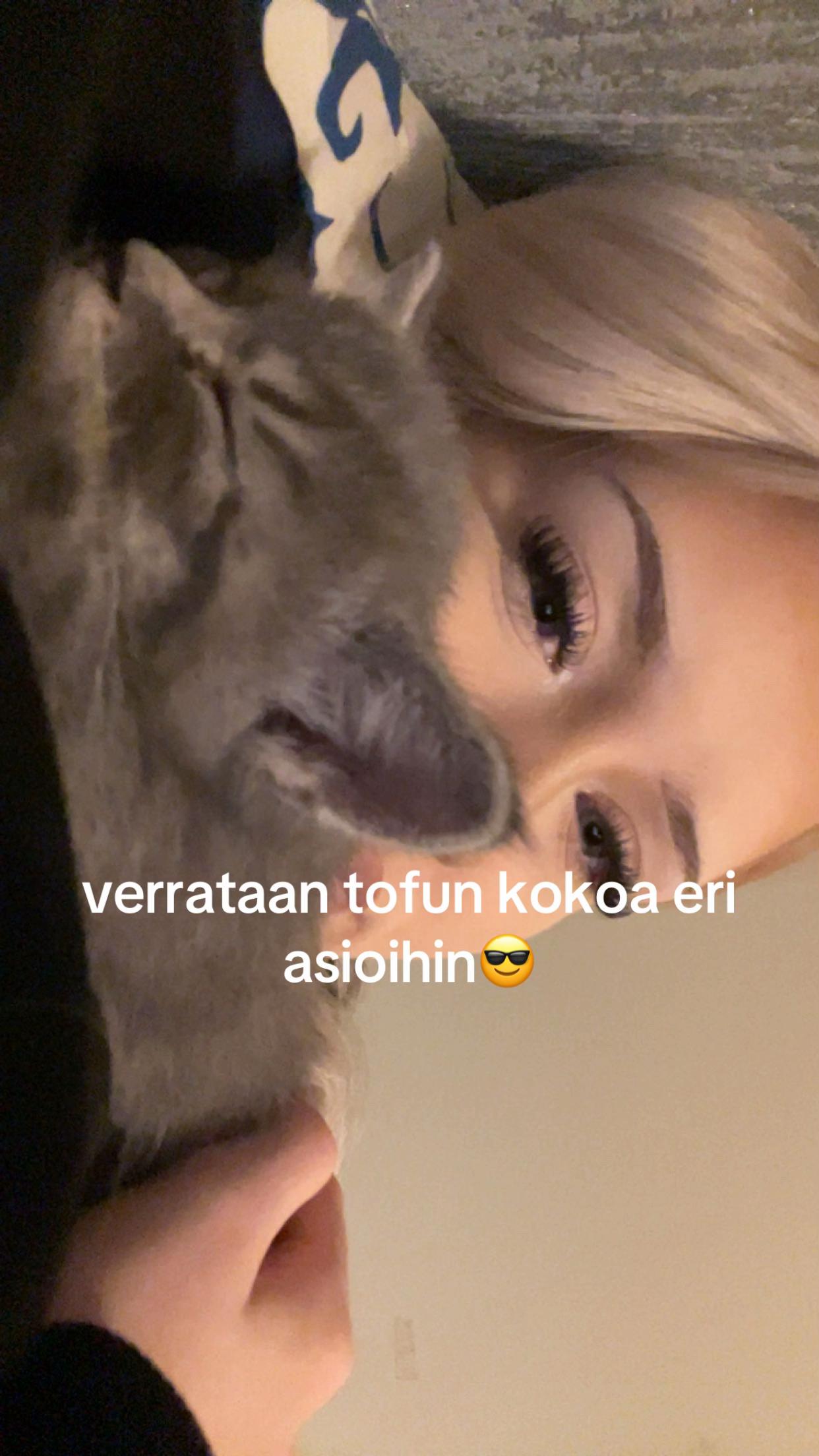 @𝓙𝓾𝓵