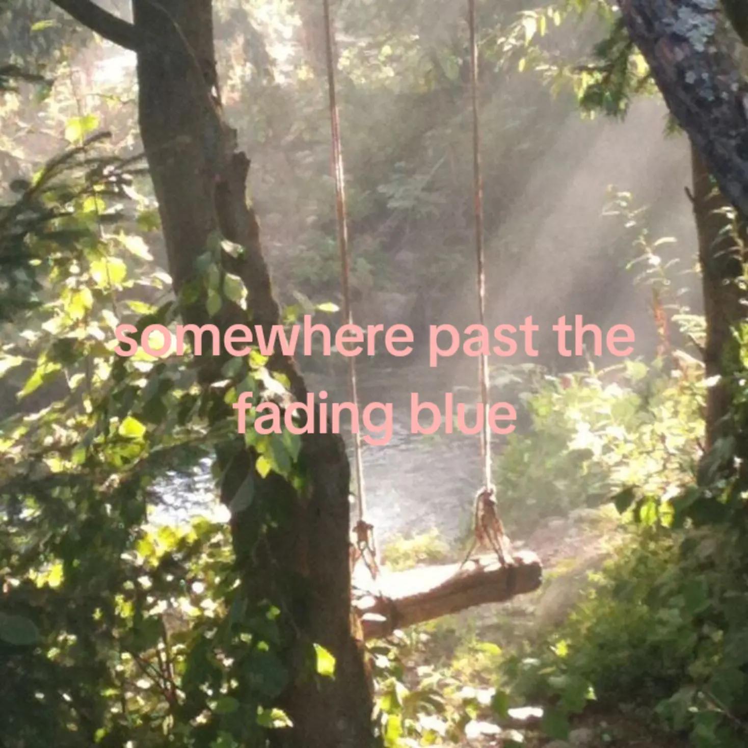 @𝓡𝓸𝓻𝓸