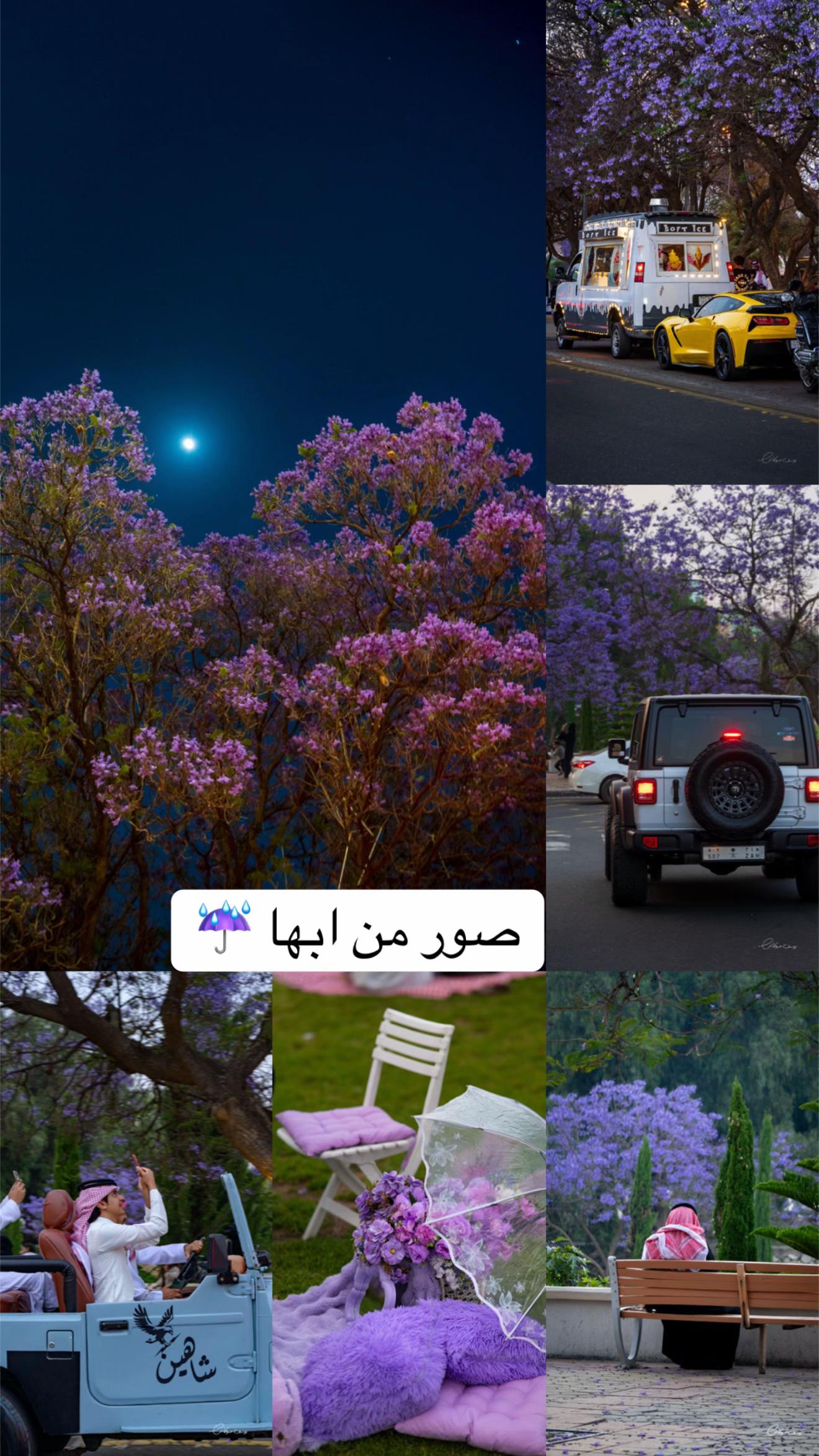 @يوسف حوكاش