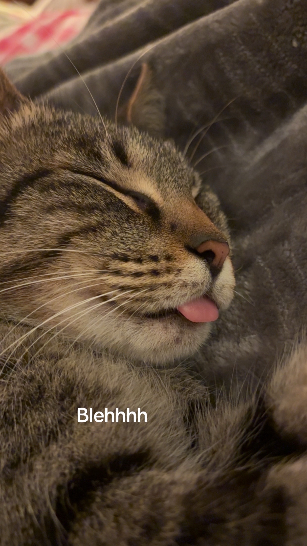@flarrppp