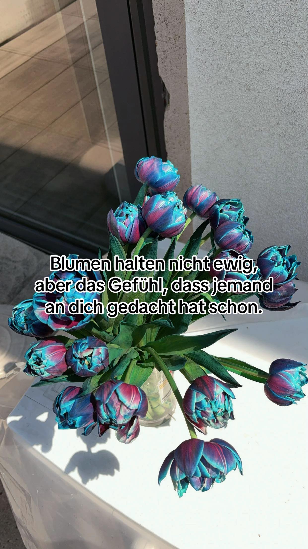 @๐๐ฌ๐ฉ๐ฉ๐ท๐ข๐ฆ๐ฑ๐๐ซ๐ฌ๐ซ๐ถ๐ช๐ชข