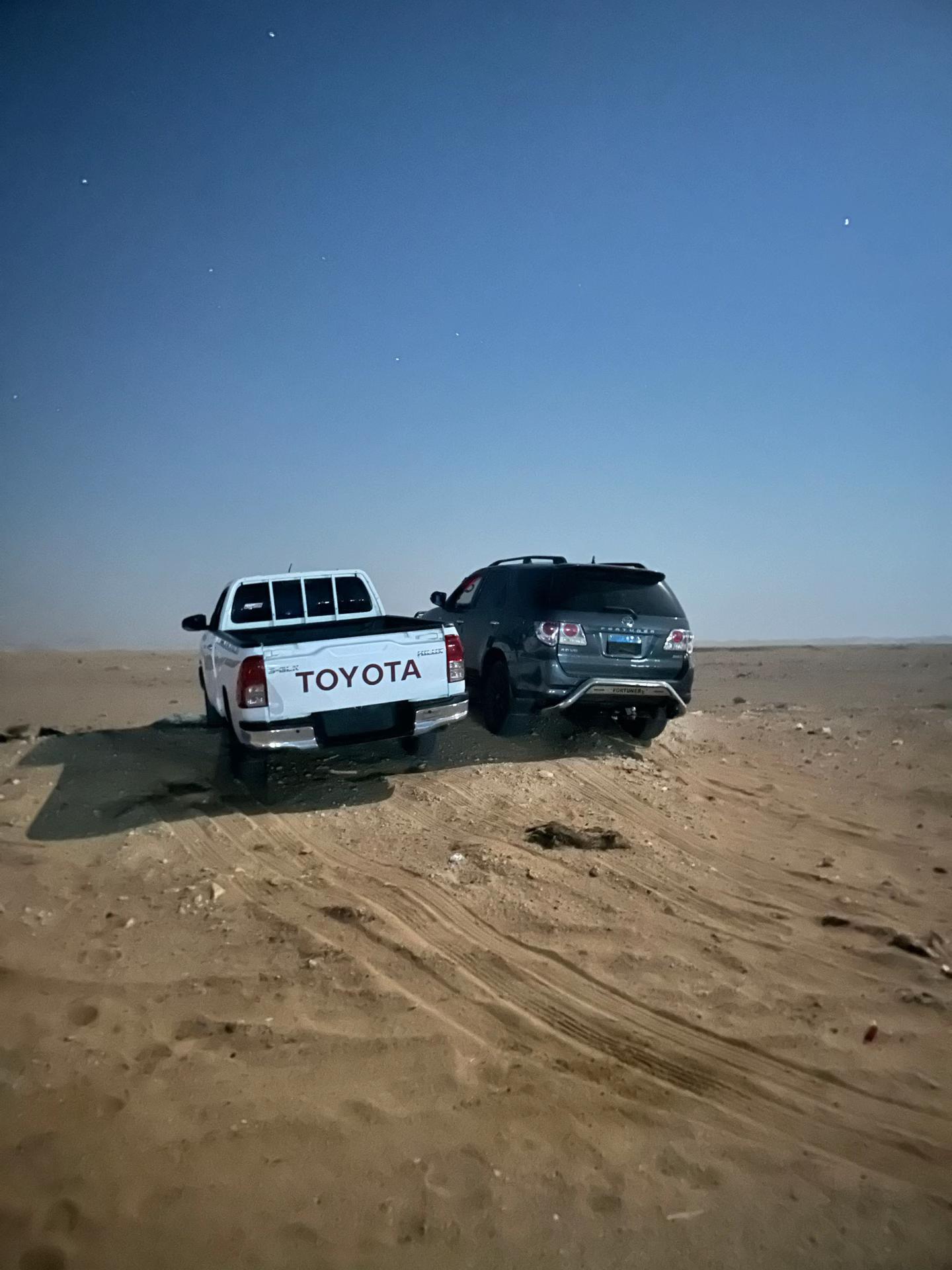 @محمدالاحيوي