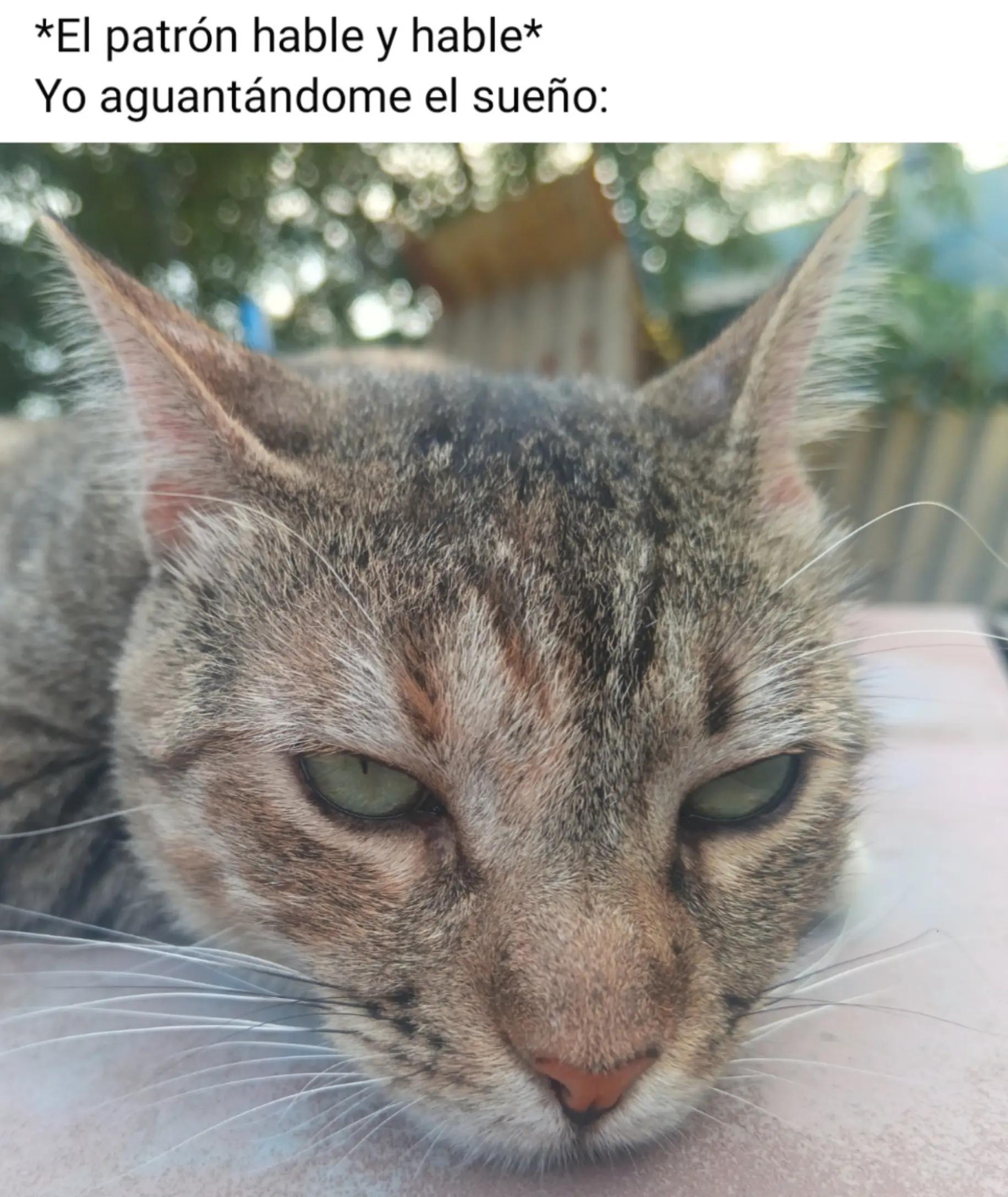 @oyeeee Naya