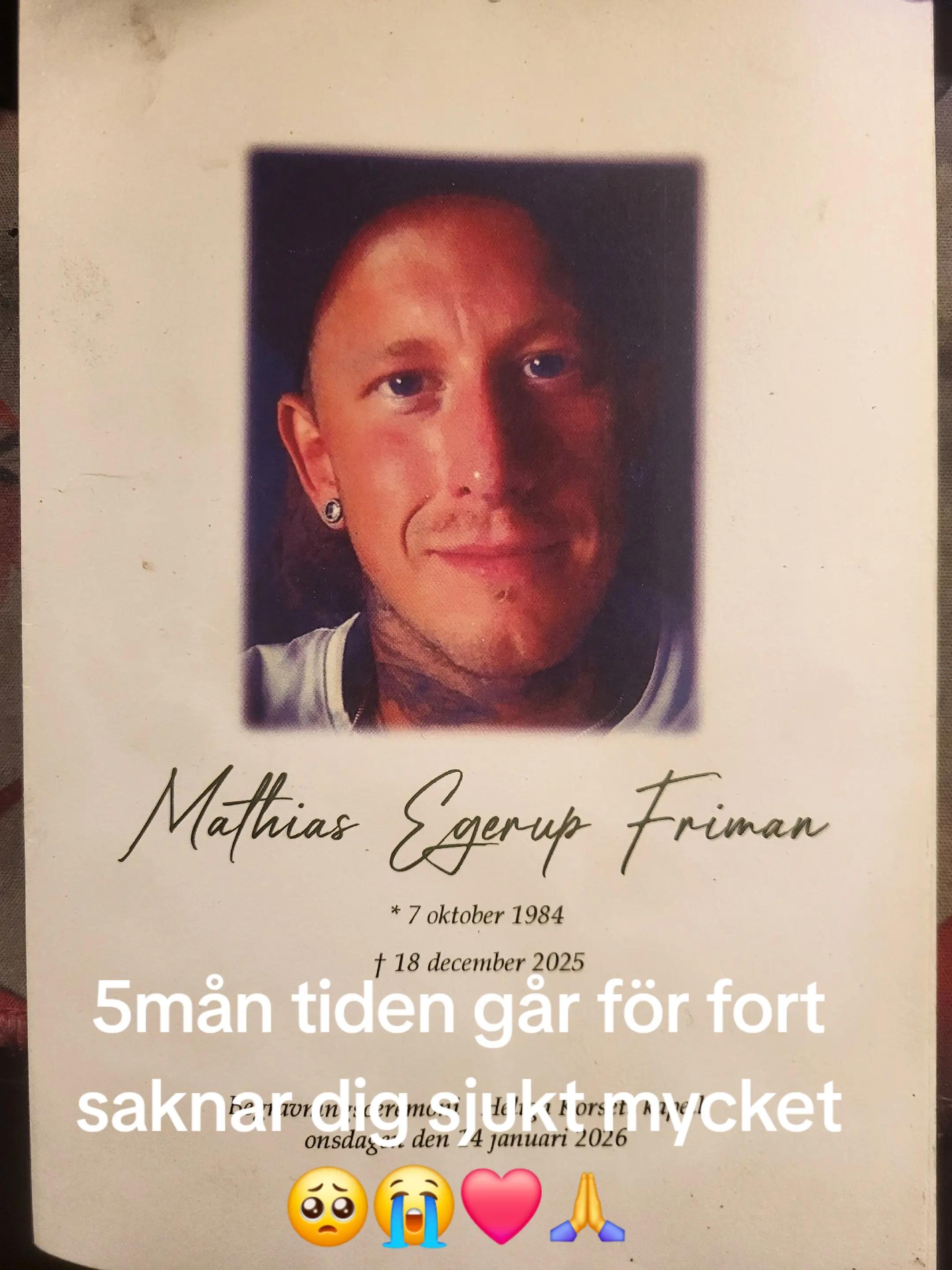 @🐱⚡️Krille #Team Förrädarna