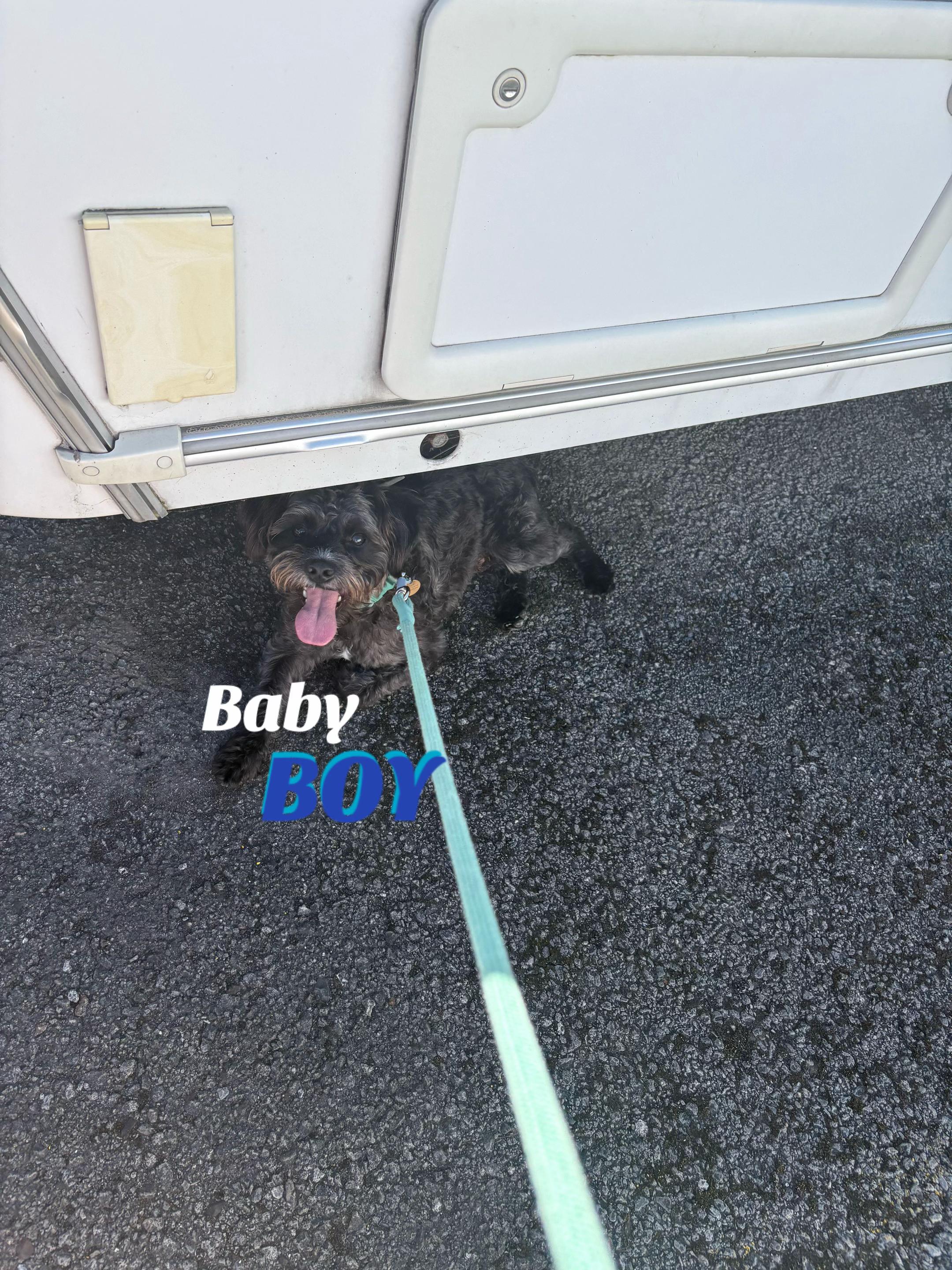 @𝓜𝓸𝓵𝓵𝓲𝓮🪽