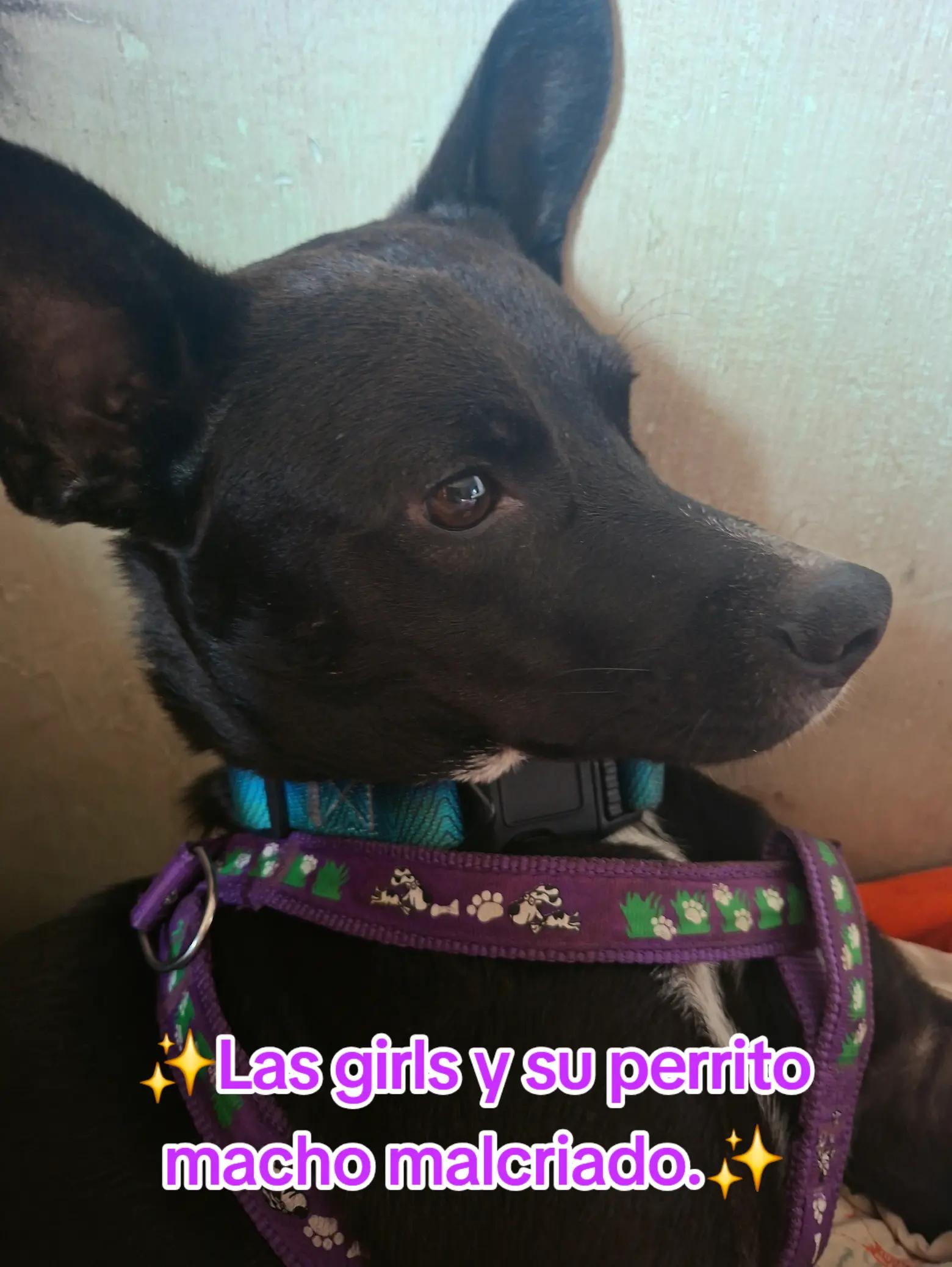 @Yanizaret Moreno