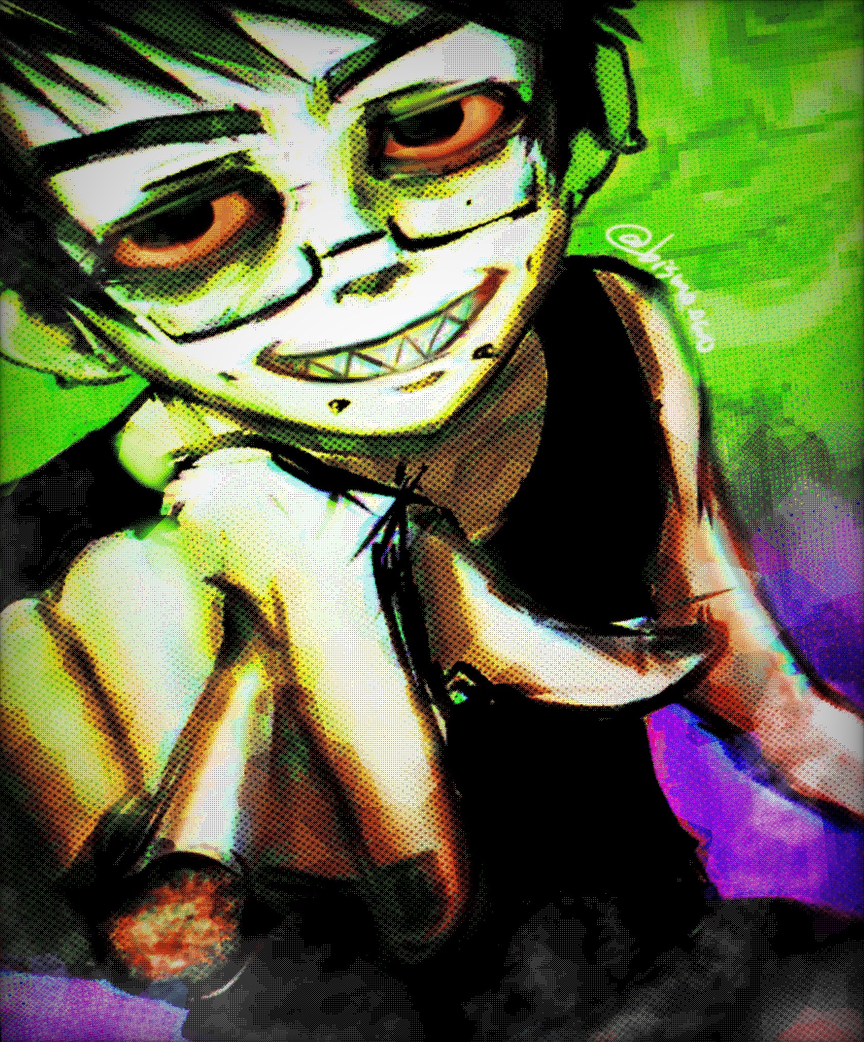 @bbacon.owo