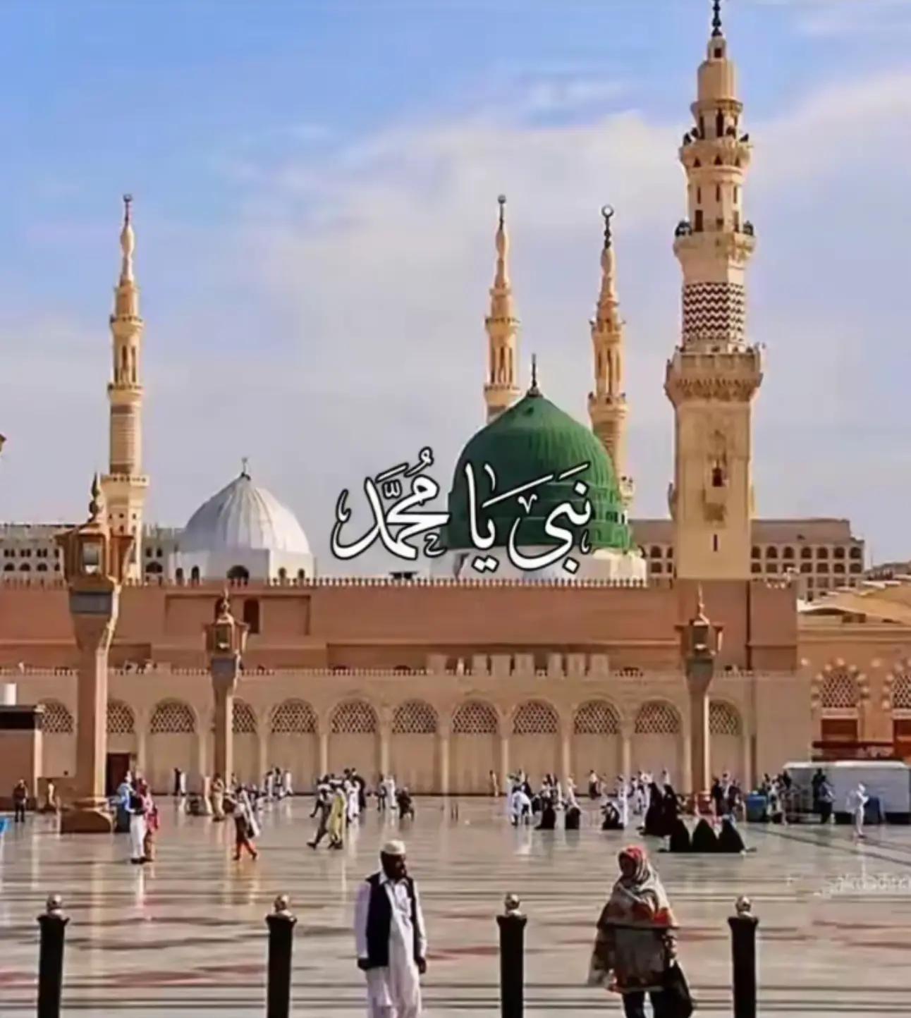 @HUMAIR. 46🐯🐯