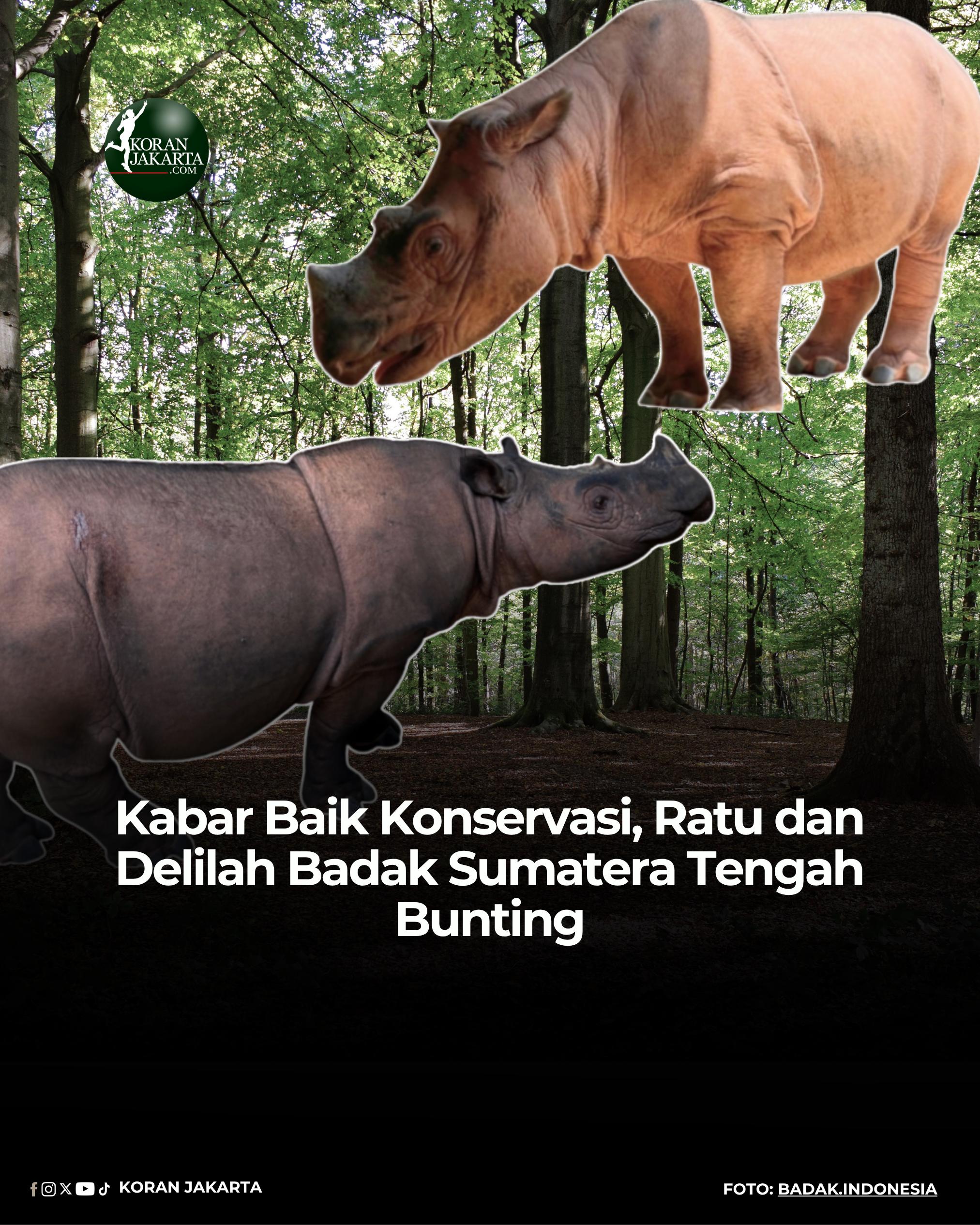 @Koran Jakarta
