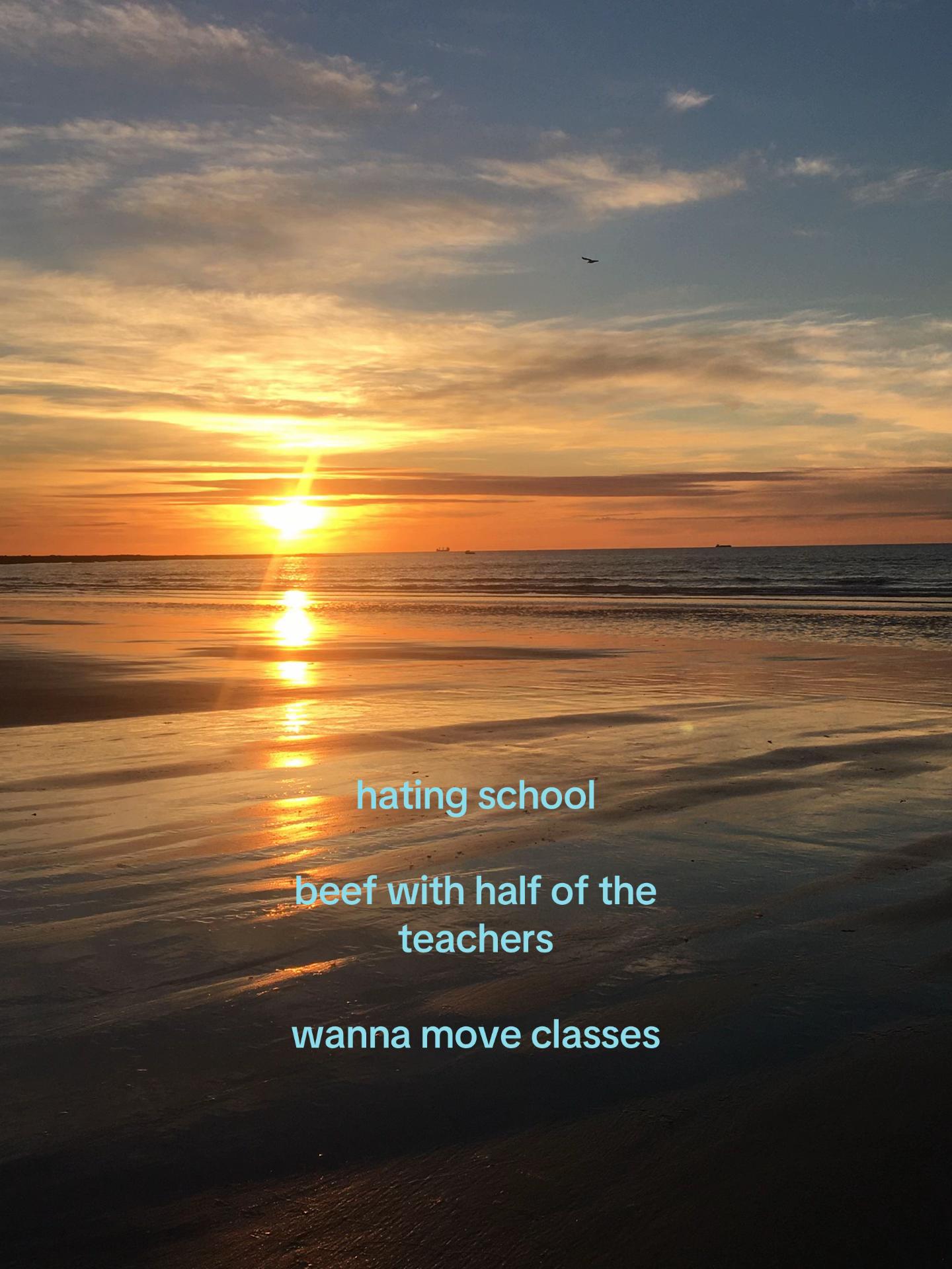@cal⸆⸉ ✪