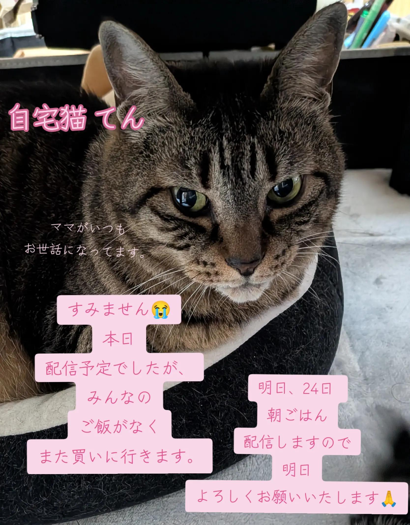 @てんきな