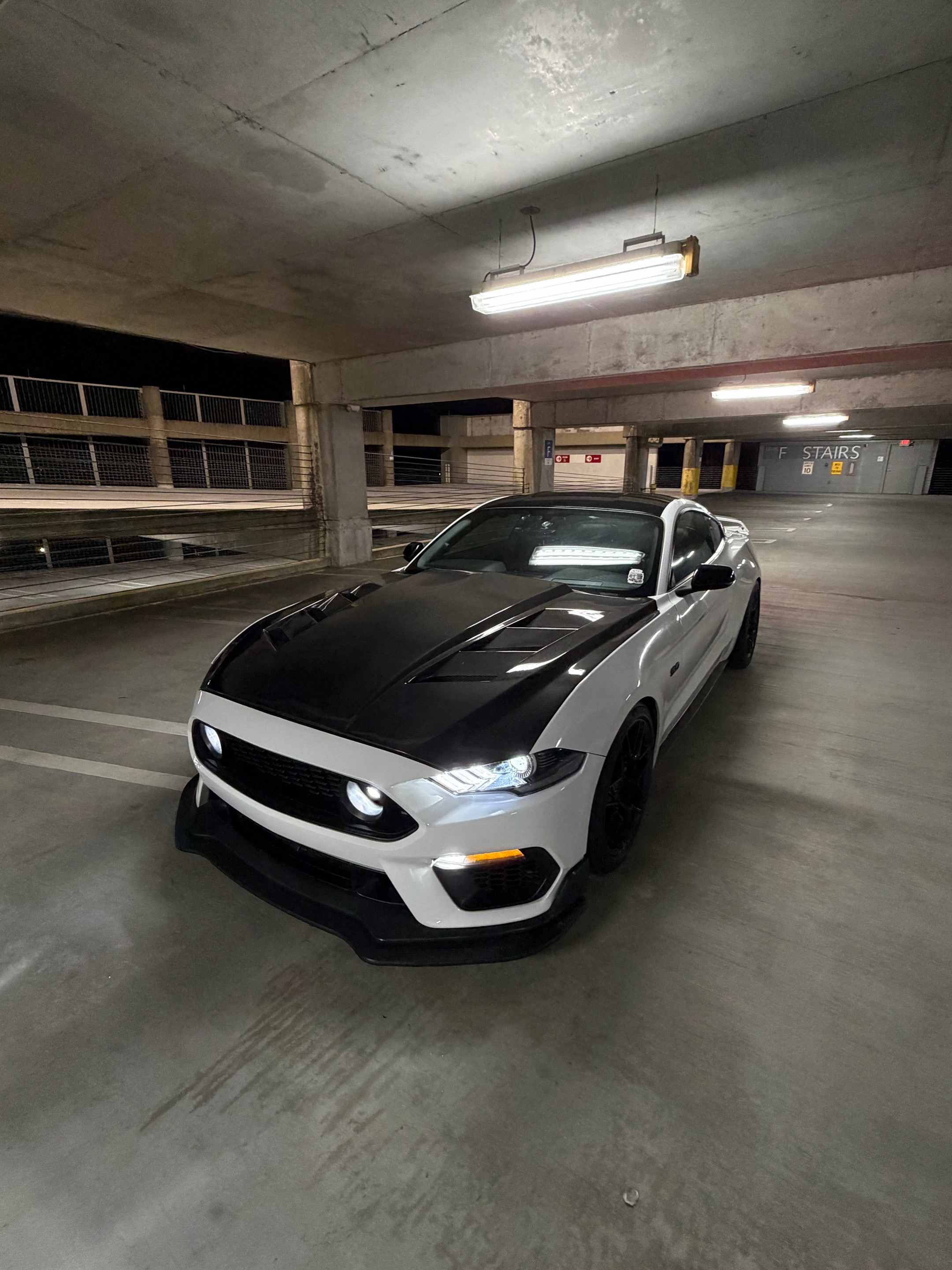@lonestarrr_5.0